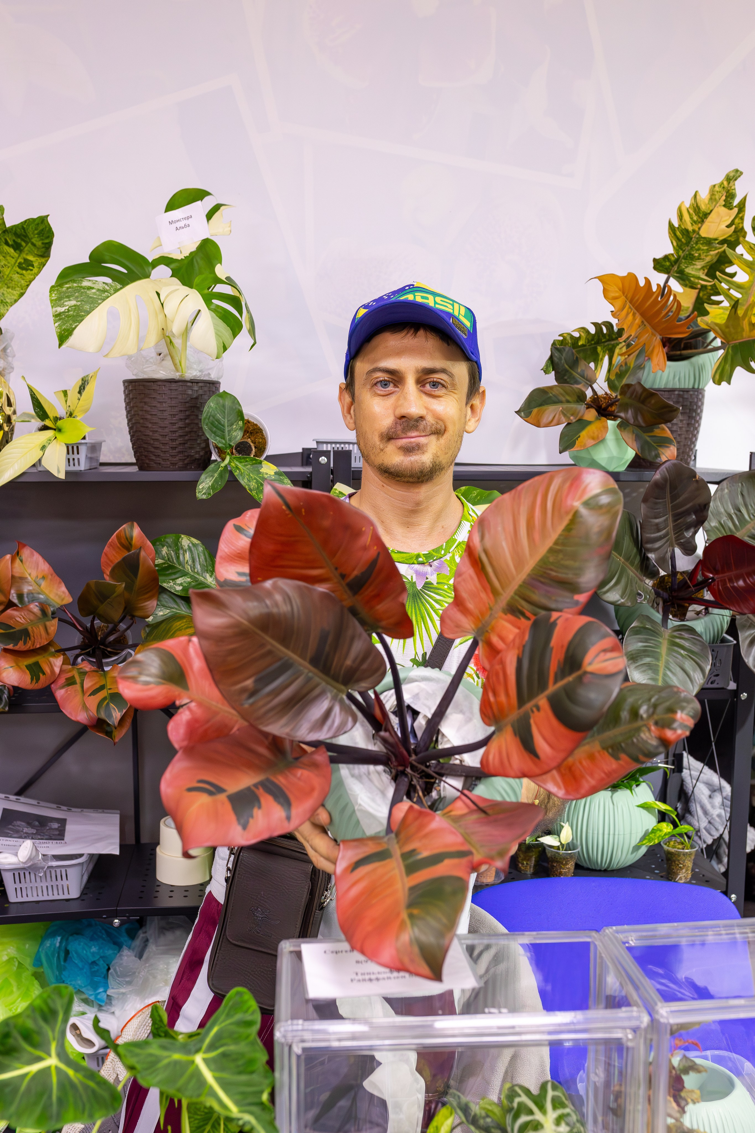 Орхидиум сентябрь 2025. Александра Куликова фотограф, Москва