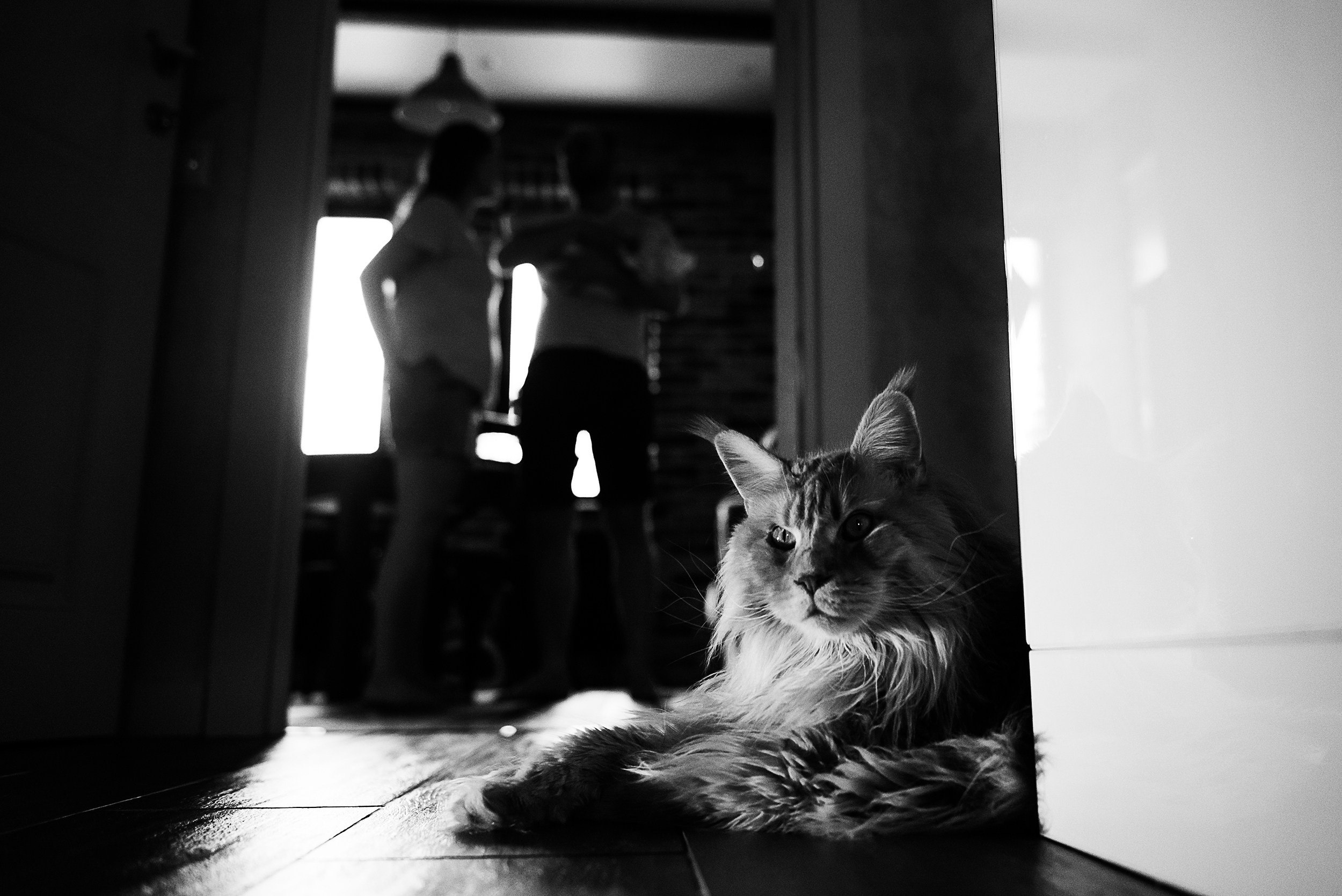 Алена, Виктор, Оливка и Ластик. Семейный Фотограф в Москве Ирина Хохлова