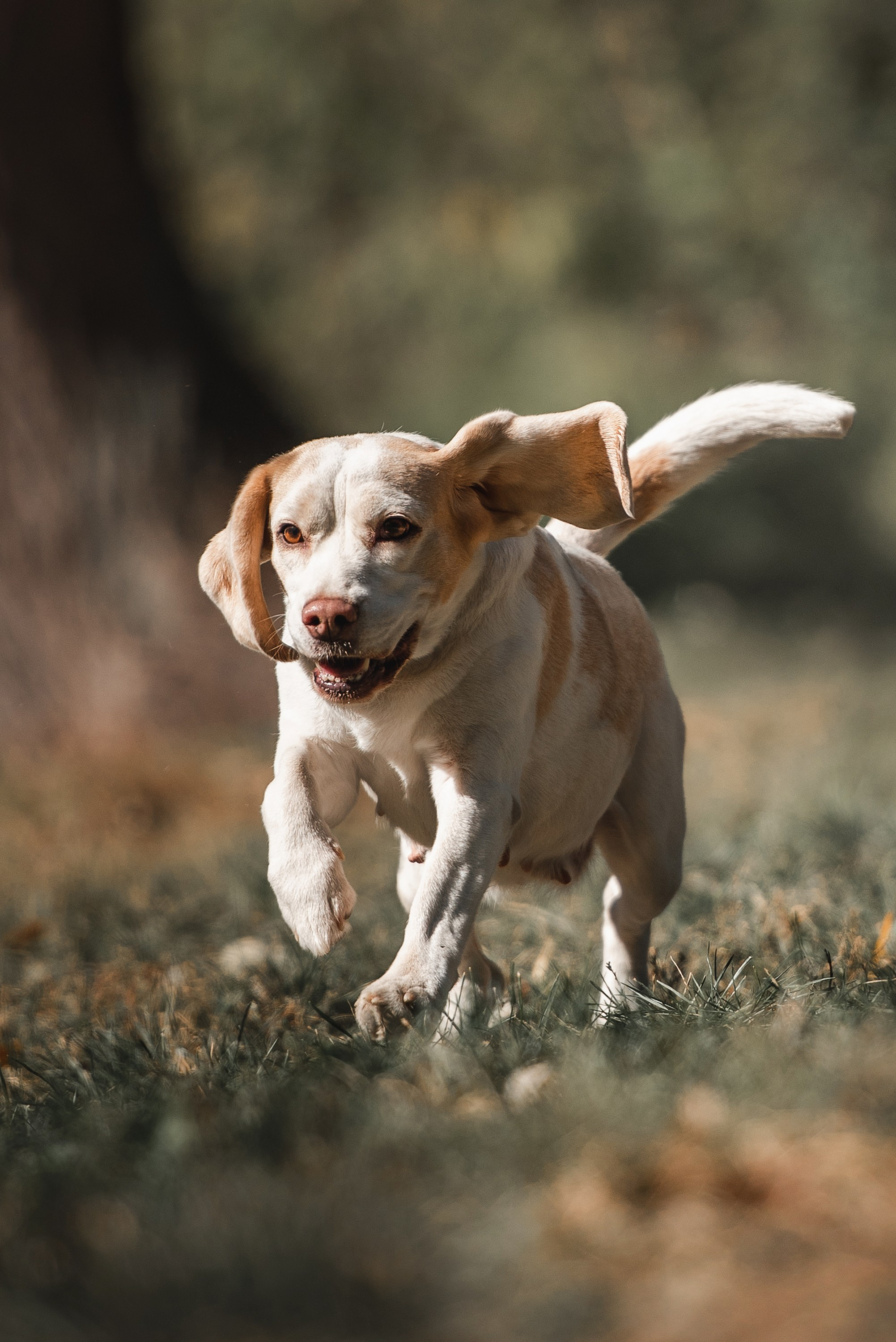 Оля и Ника. Семейный Фотограф в Москве Ирина Хохлова