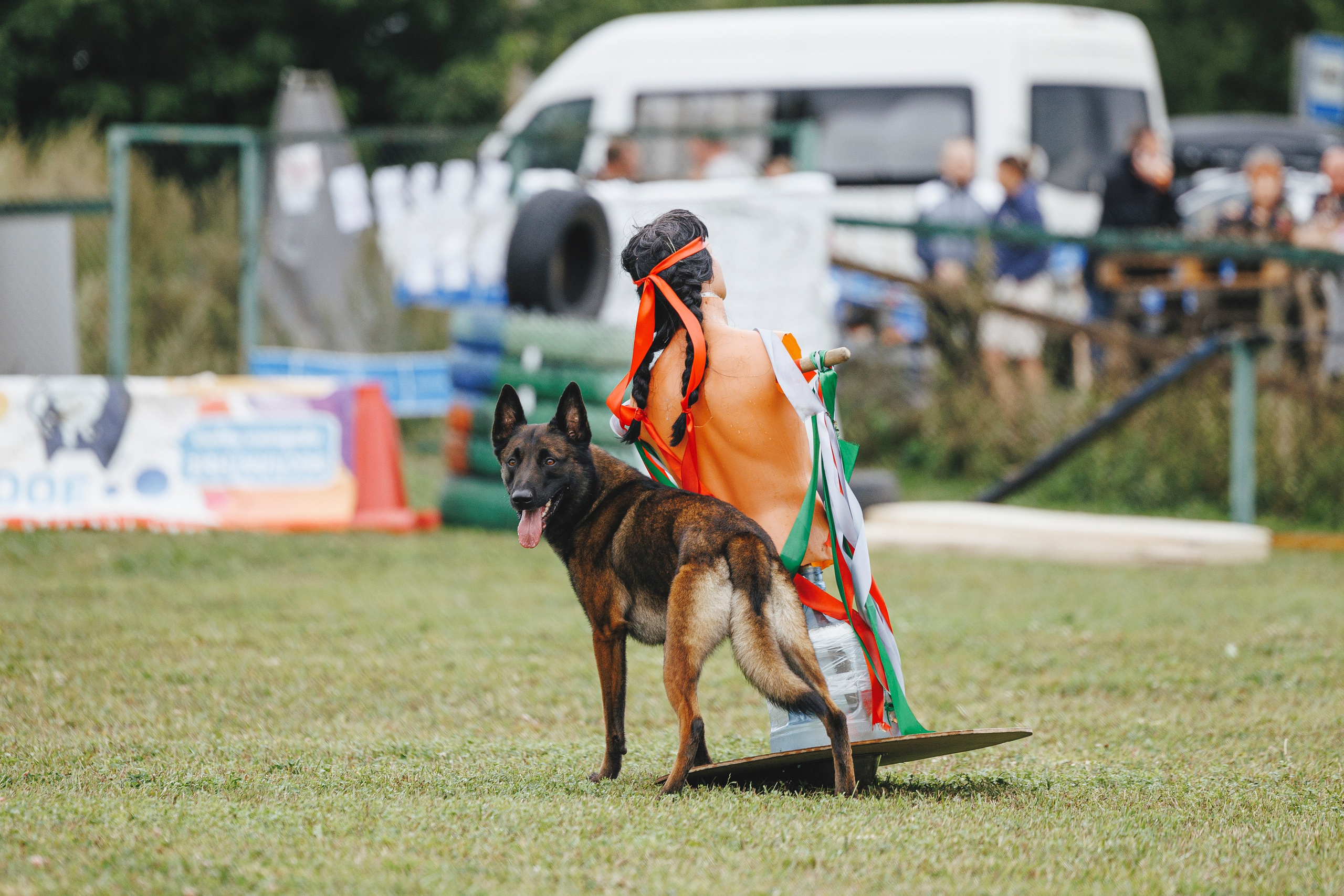 08.08.25-10.08.25 ЧР по мондьорингу г. Вологда. Фотограф-анималист Анна Маринич