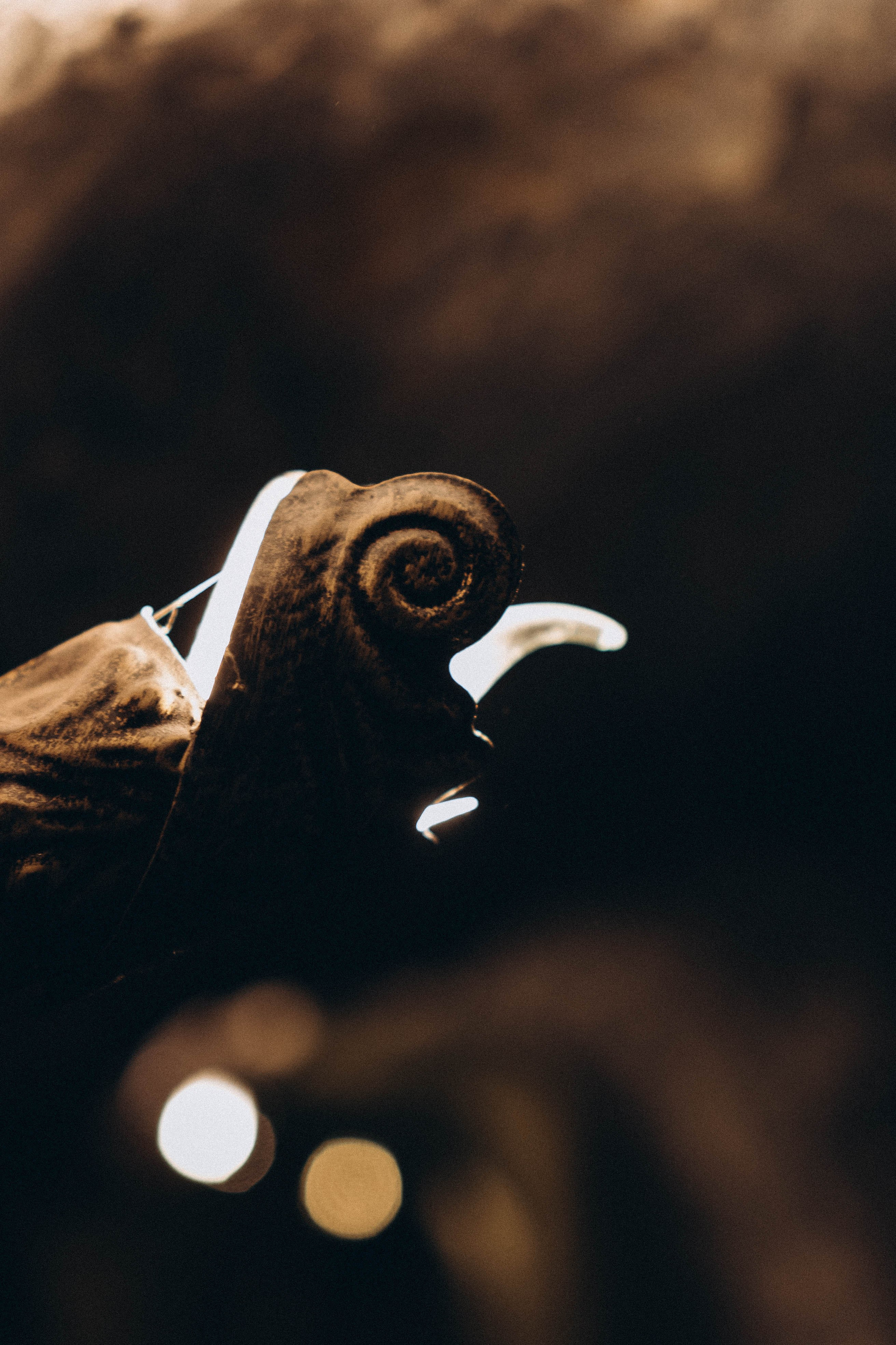 Кавказ. Профессиональный фотограф, Санкт-Петербург — Виктория Богомолова