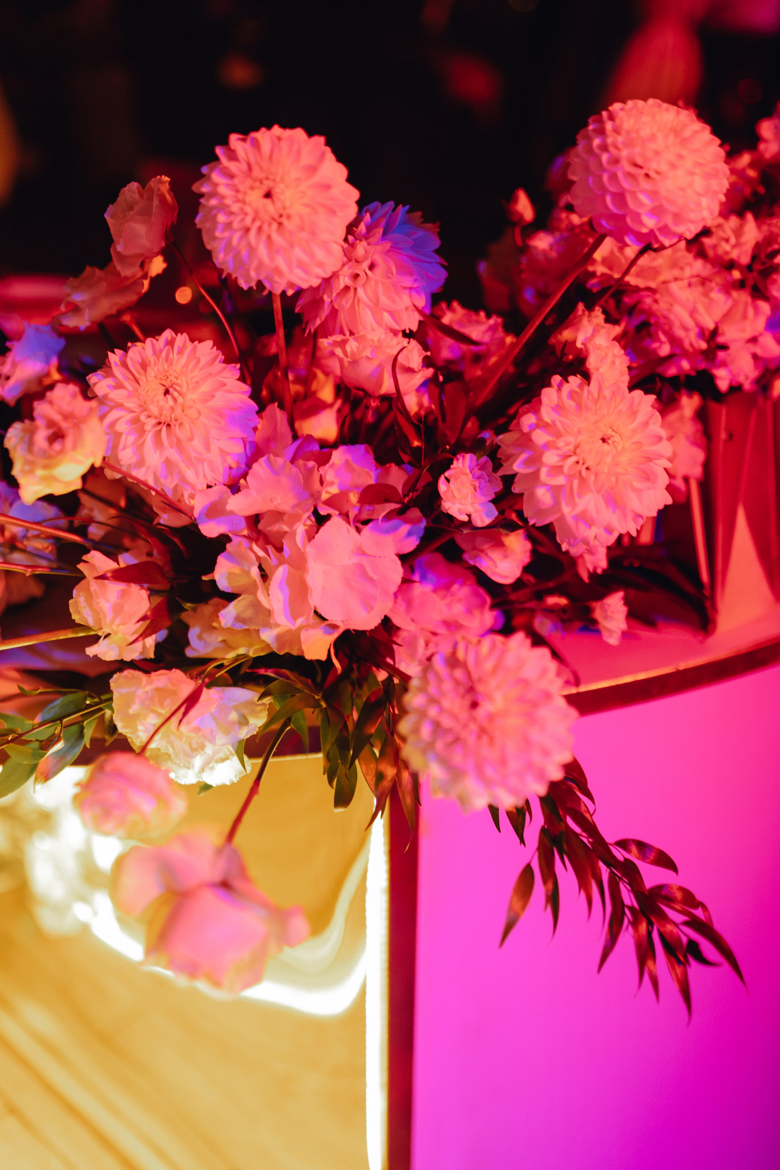 Альберт и Лера. Свадебный фотограф Анжелика Сариева