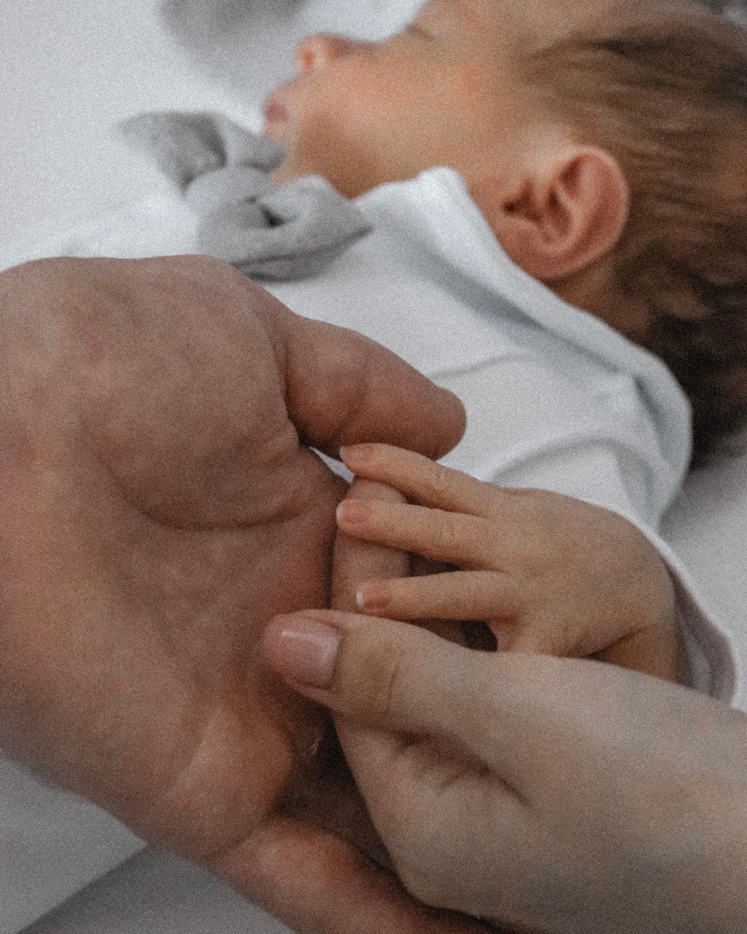 Фотографы до 5 тыс/час. Поиск фотографов на любой бюджет в Москве