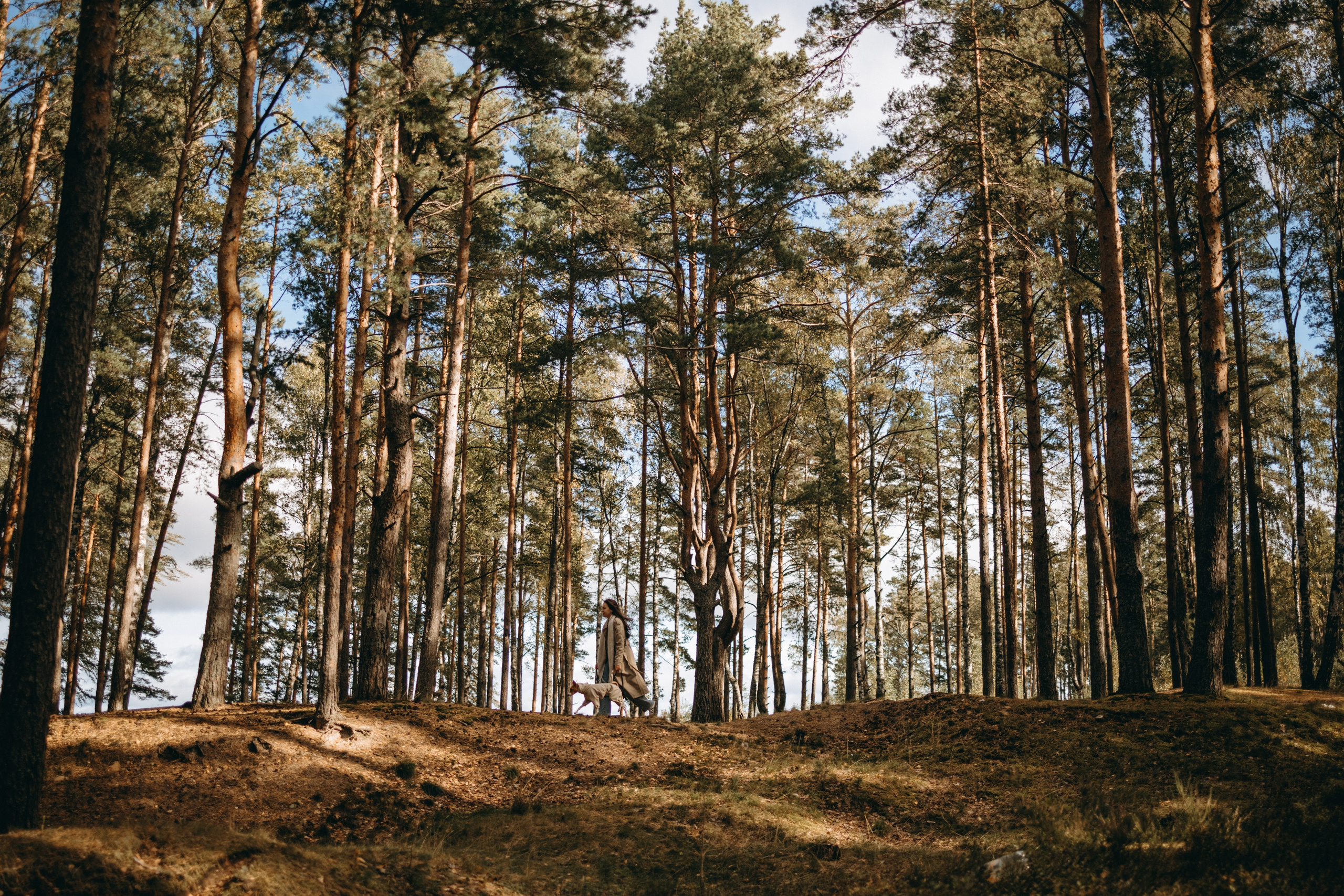 Алиса и Лео. Фотограф — Анималист | Санкт-Петербург
