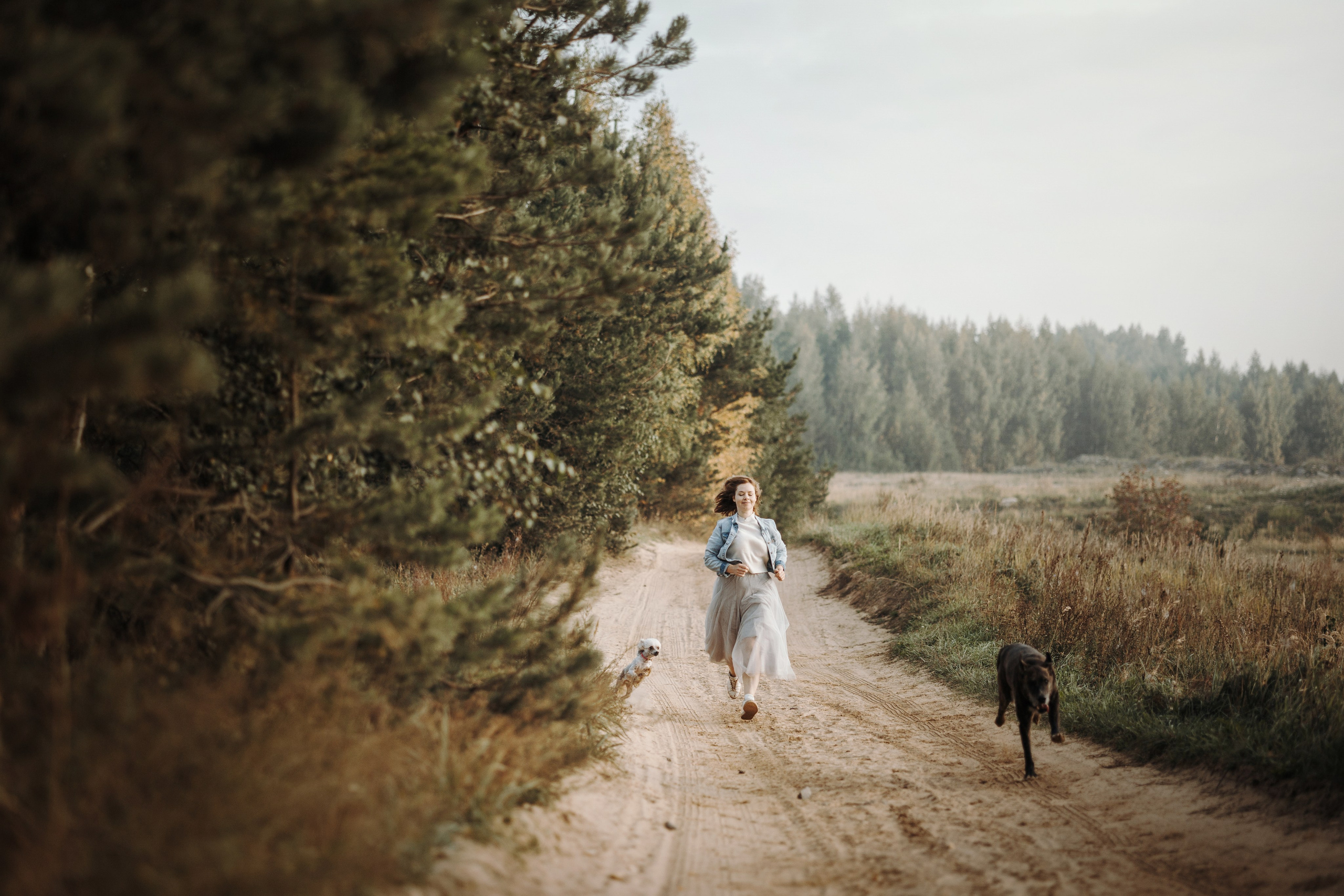 Любовь и ее хвостики. Фотограф — Анималист | Санкт-Петербург