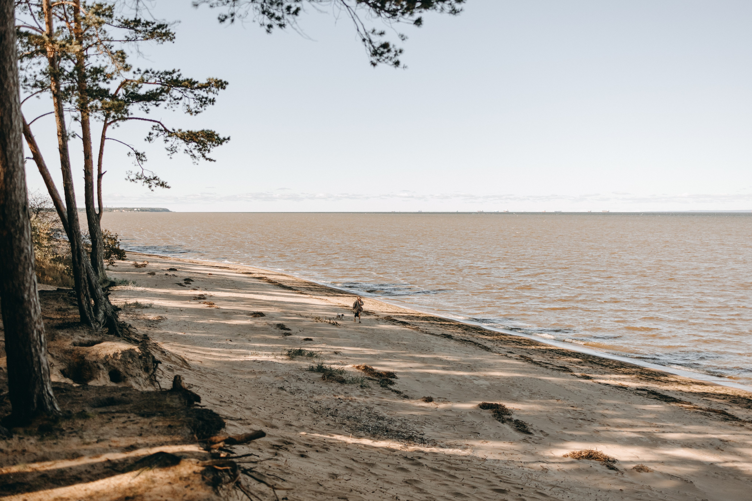 Настя и Франт. Фотограф — Анималист | Санкт-Петербург