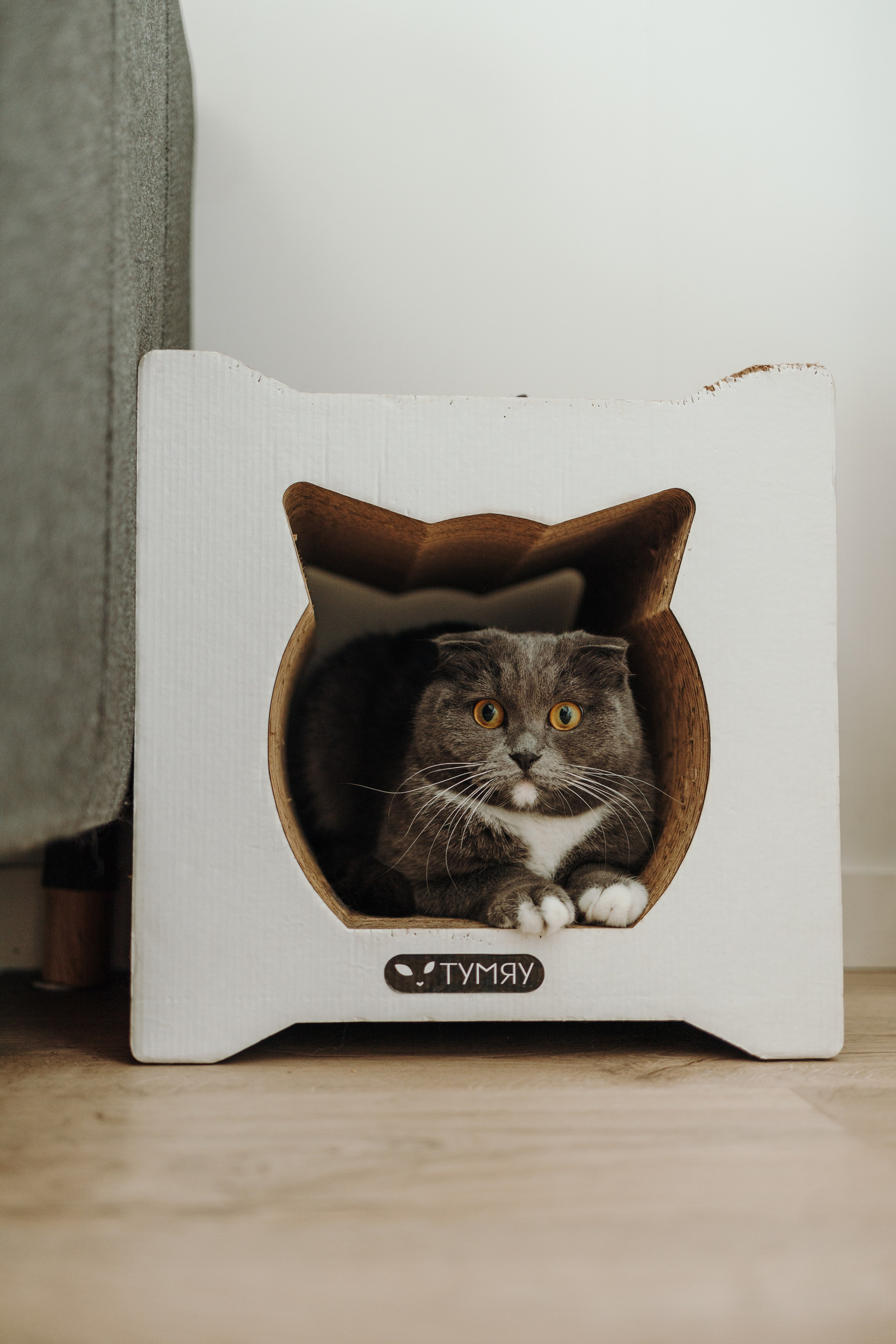 Таня и ее семья. Фотограф — Анималист | Санкт-Петербург