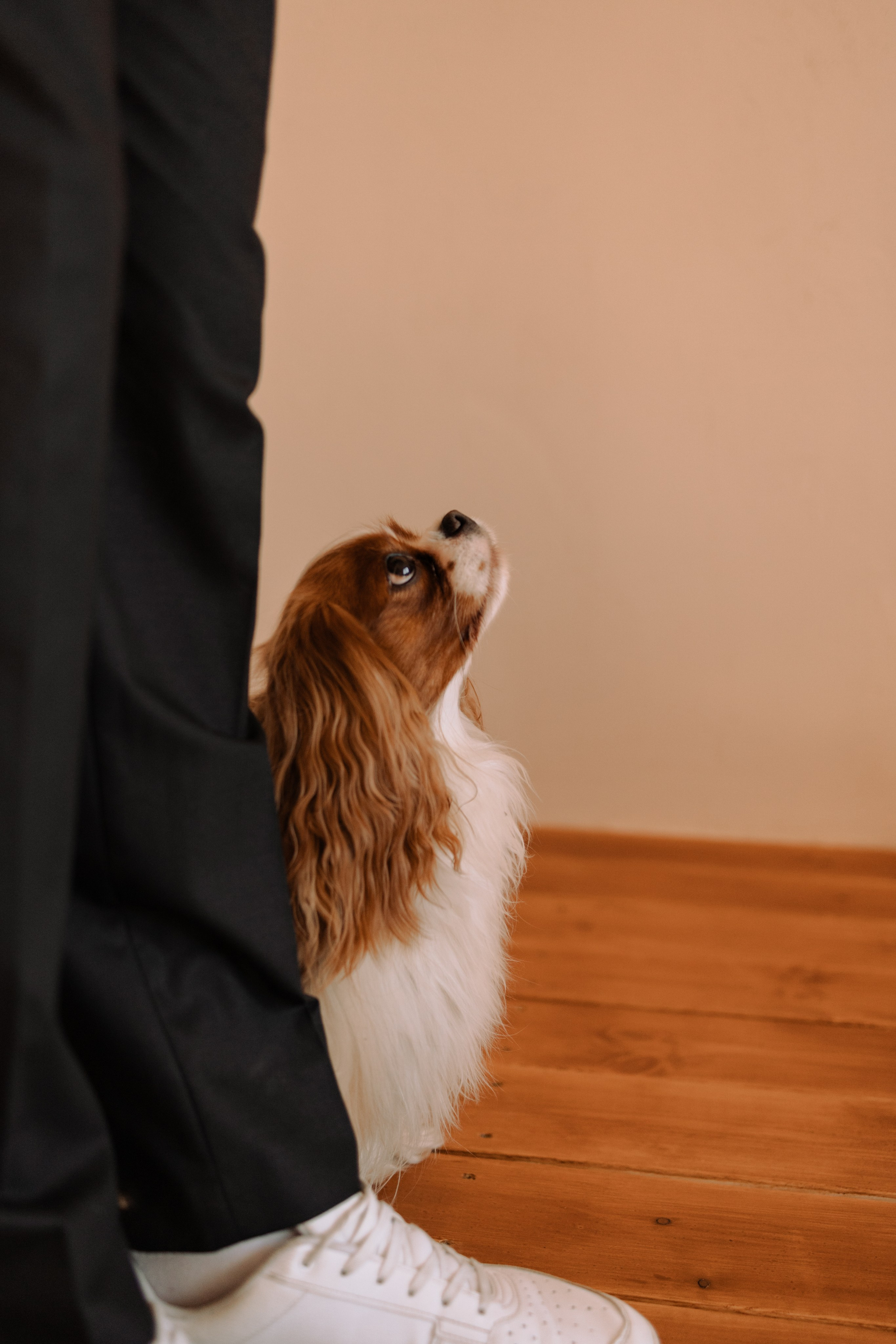 Шерри и ее семья. Фотограф — Анималист | Санкт-Петербург