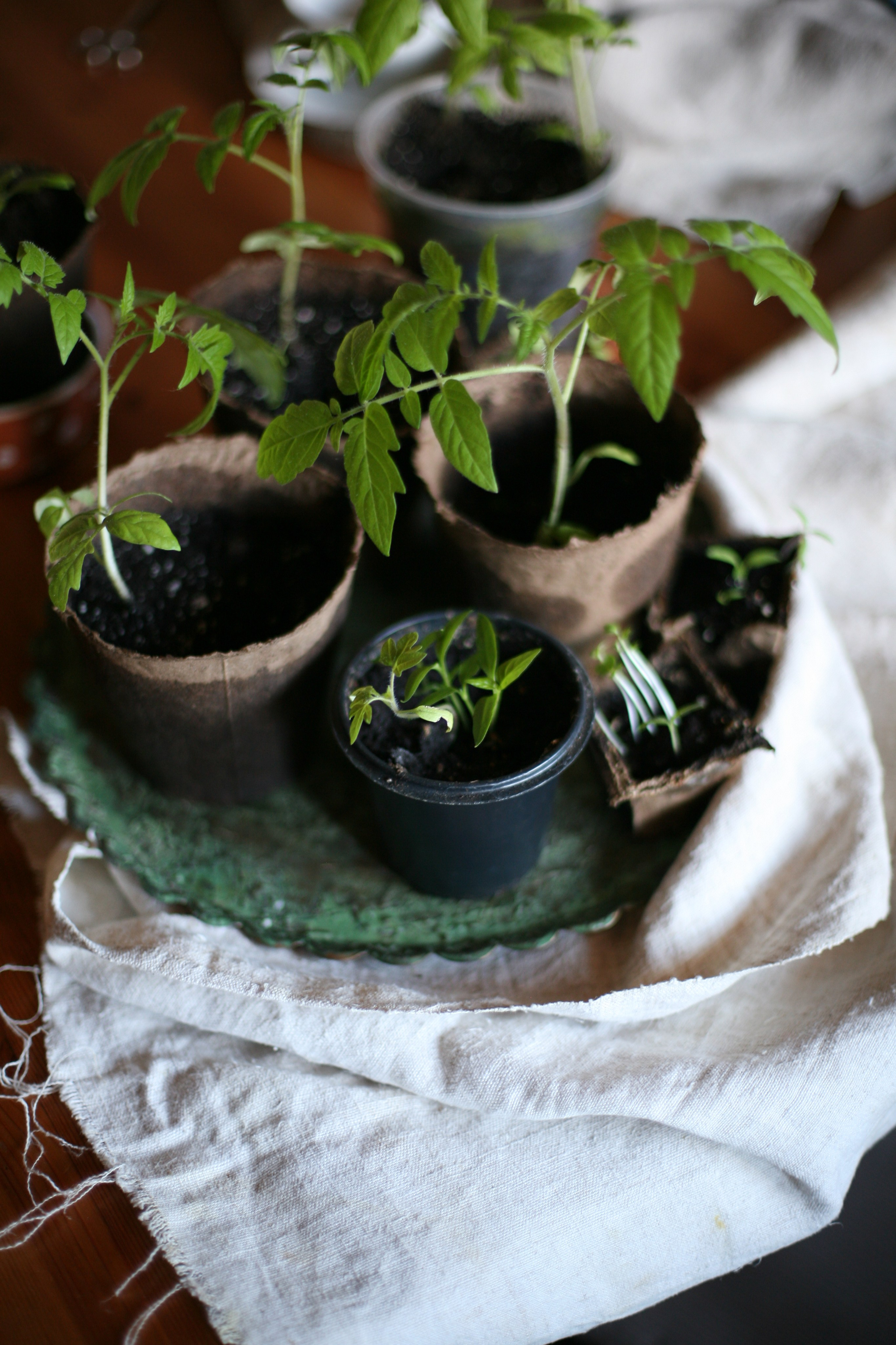 Курс «Психология на грядке». АRТ&PSY | Искусство психологии