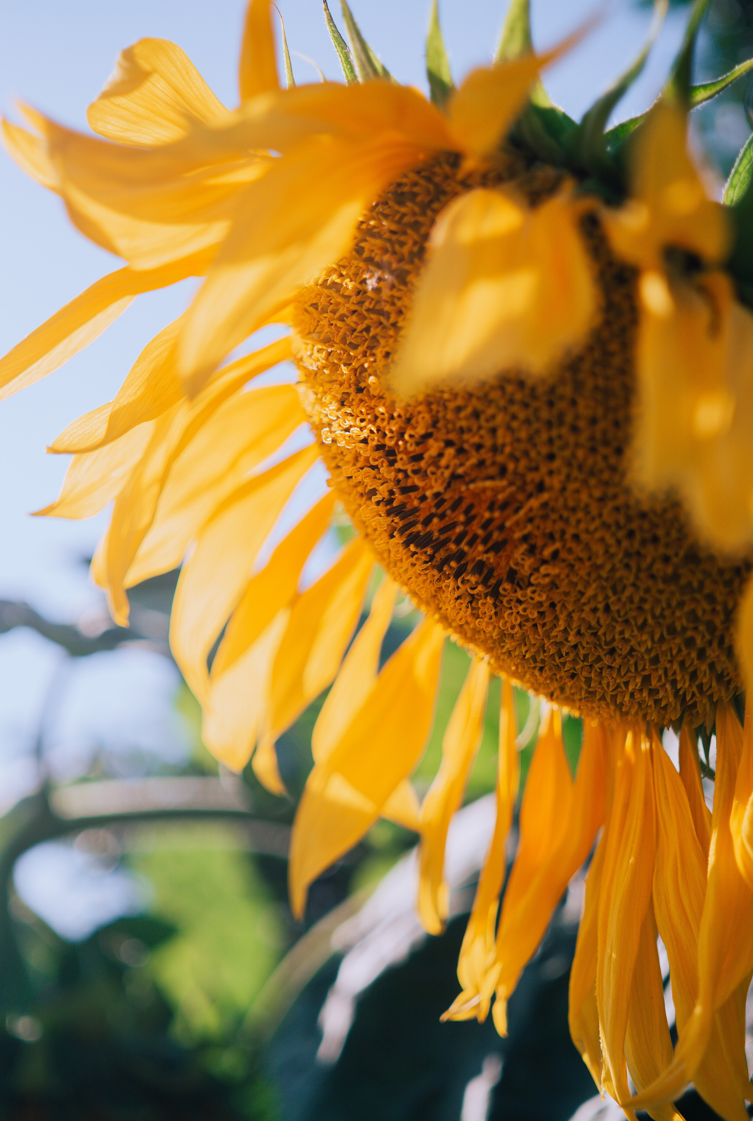 Wallpapers. Фотограф Казань