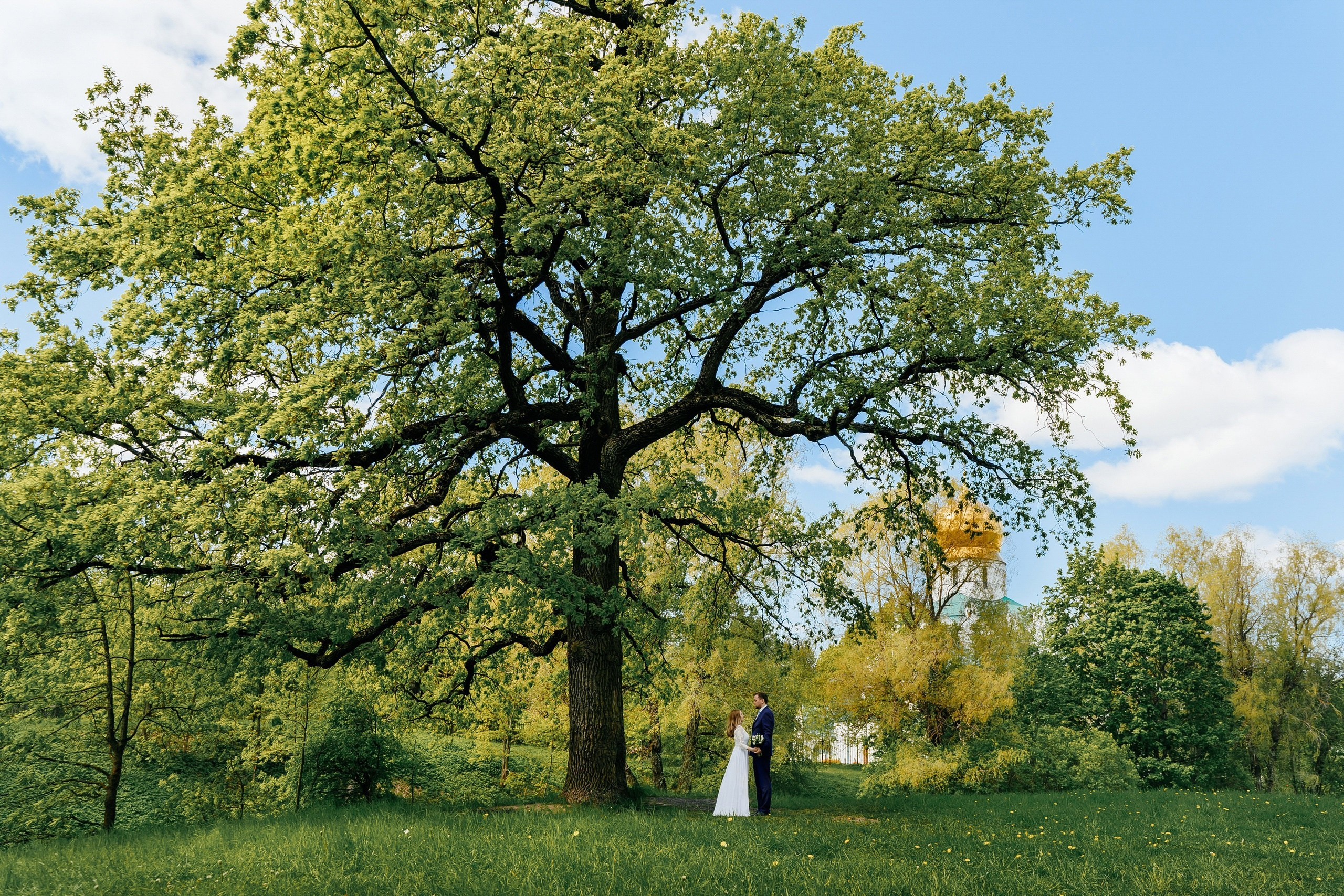 ПОРТФОЛИО. Фотограф и видеооператор (видеограф) в Евпатории и в Крыму