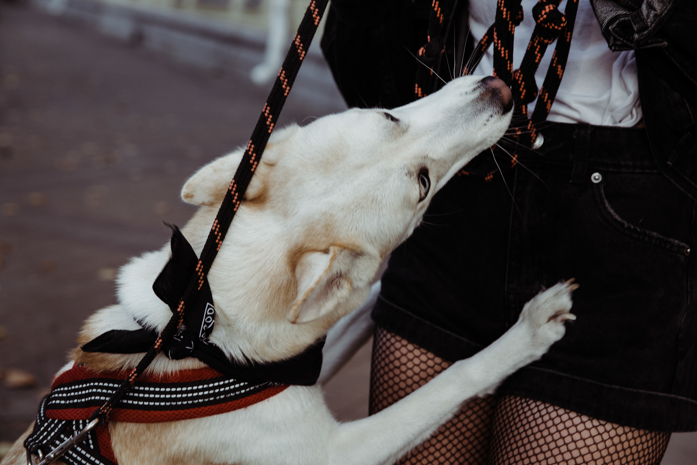 Осенний день / Яна&Ники. Фотограф Алутера Ирина