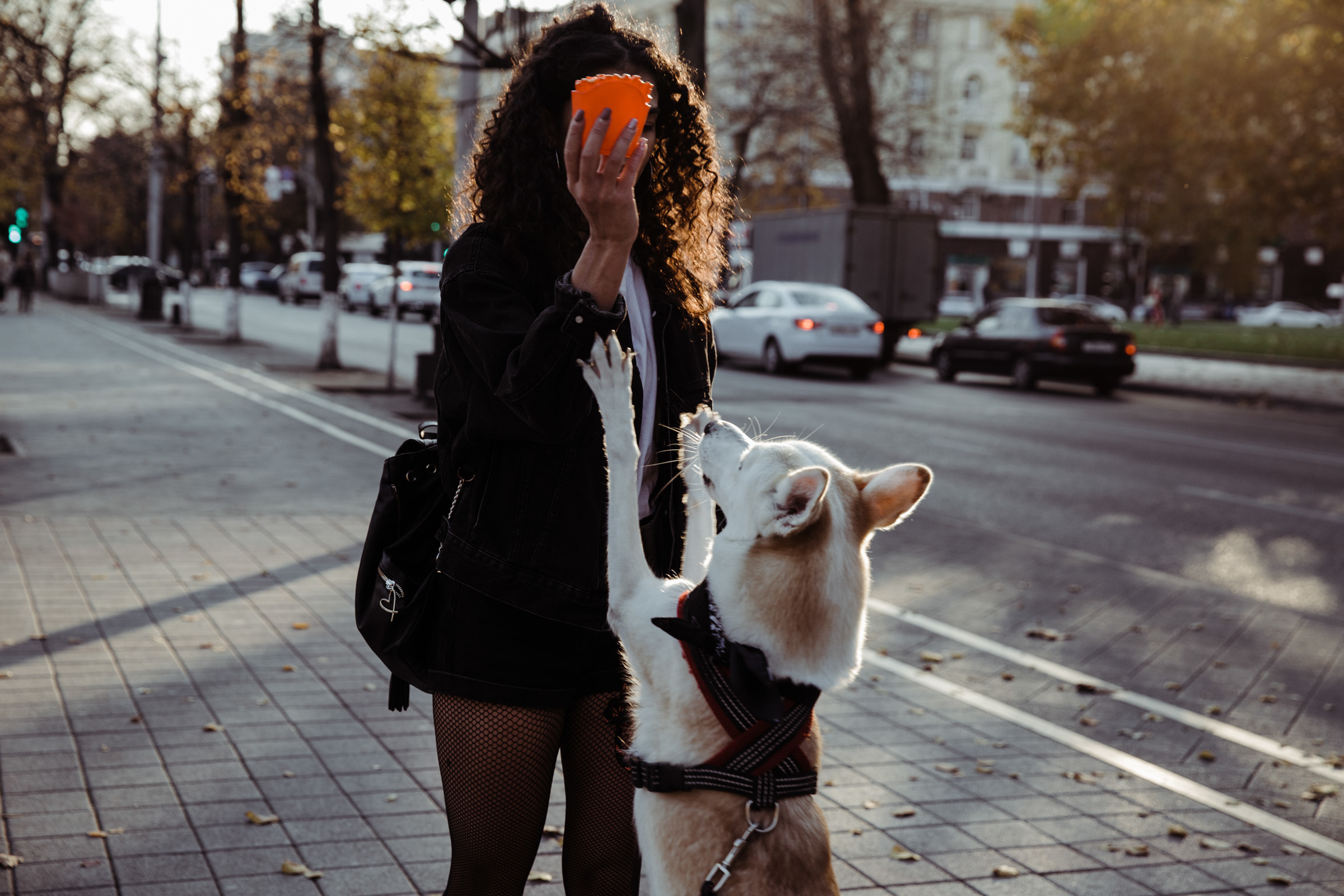 Осенний день / Яна&Ники. Фотограф Алутера Ирина
