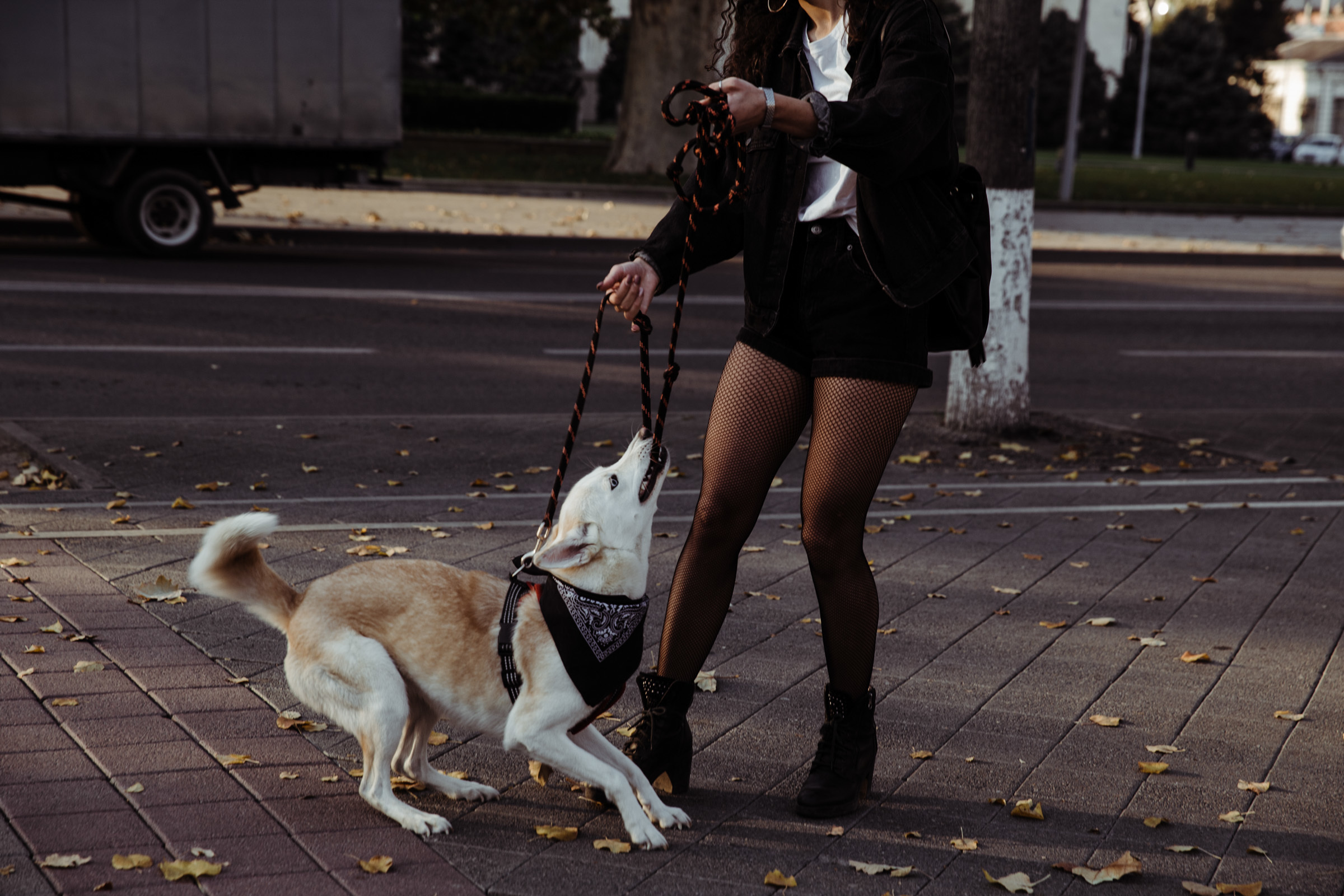 Осенний день / Яна&Ники. Фотограф Алутера Ирина
