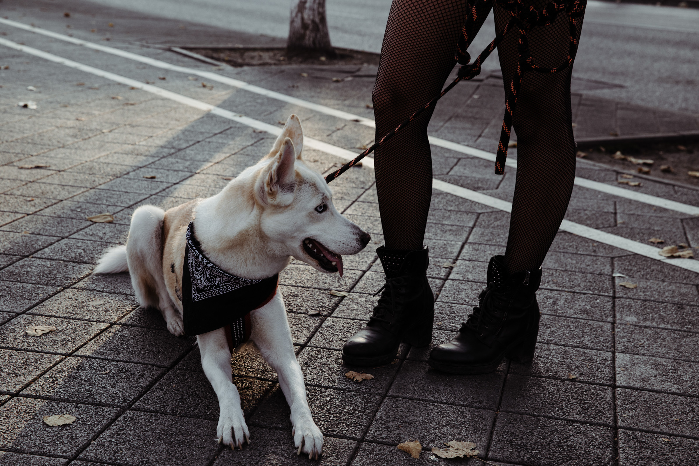 Осенний день / Яна&Ники. Фотограф Алутера Ирина