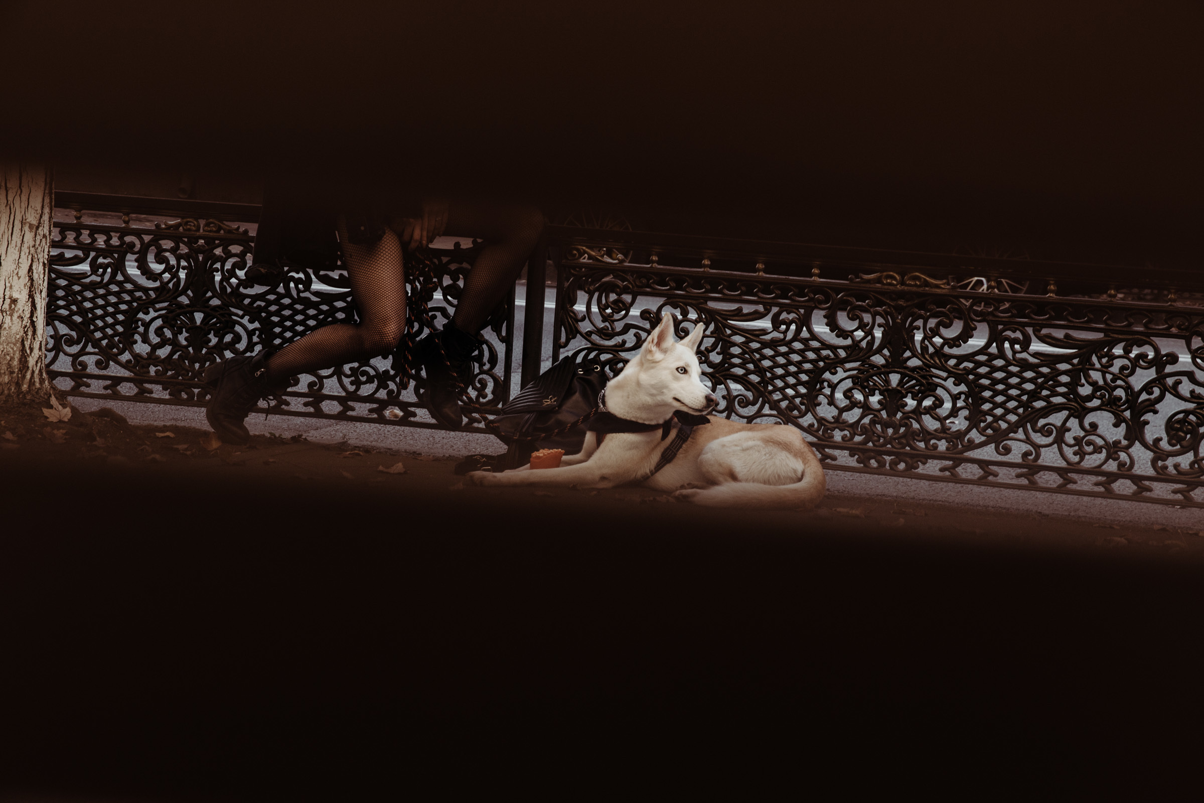 Осенний день / Яна&Ники. Фотограф Алутера Ирина