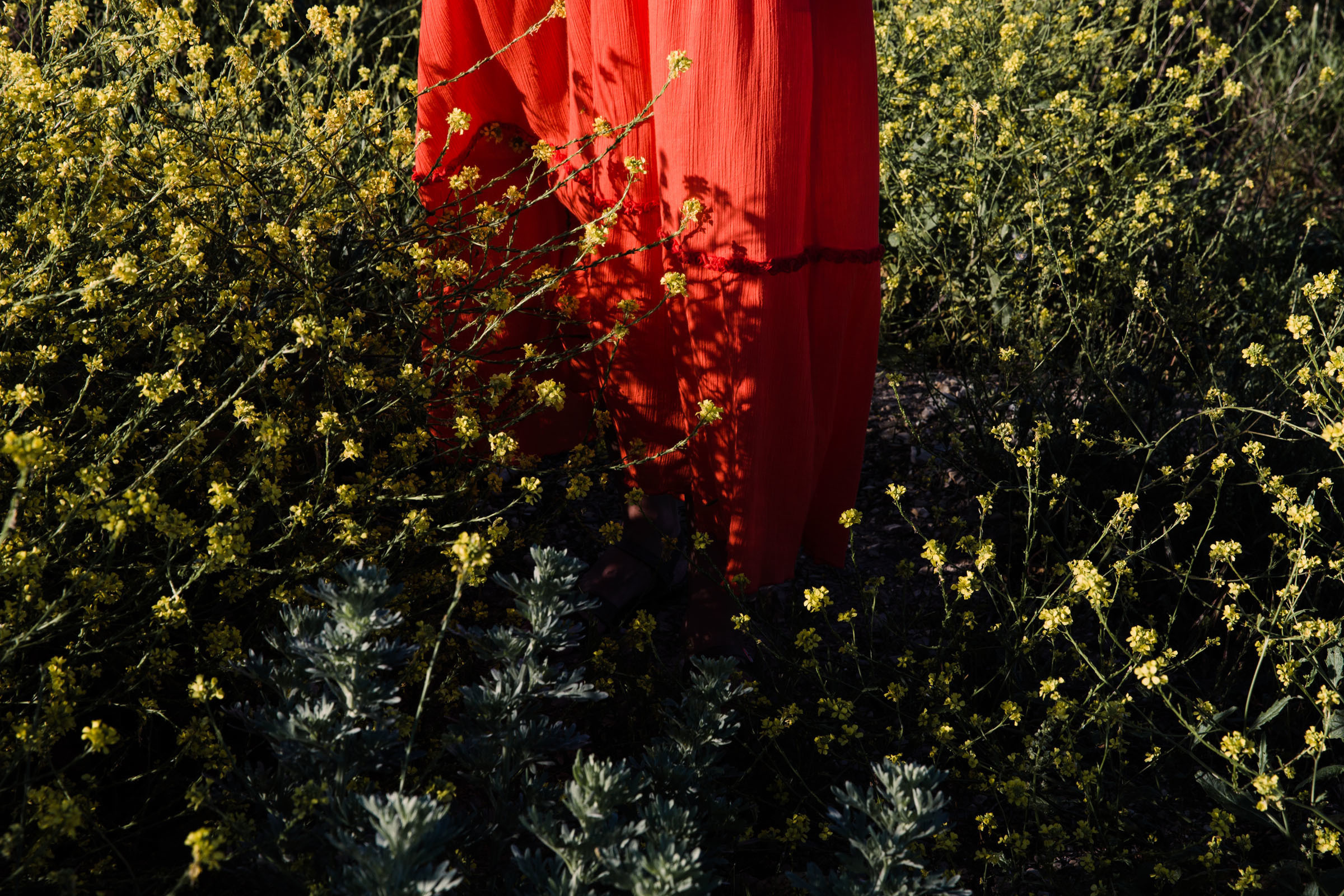 Всё лето в один день // Ксения. Фотограф Алутера Ирина