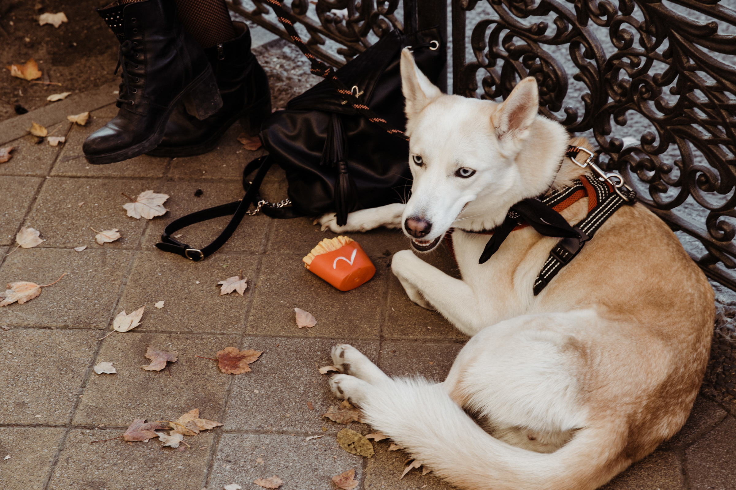 Осенний день / Яна&Ники. Фотограф Алутера Ирина