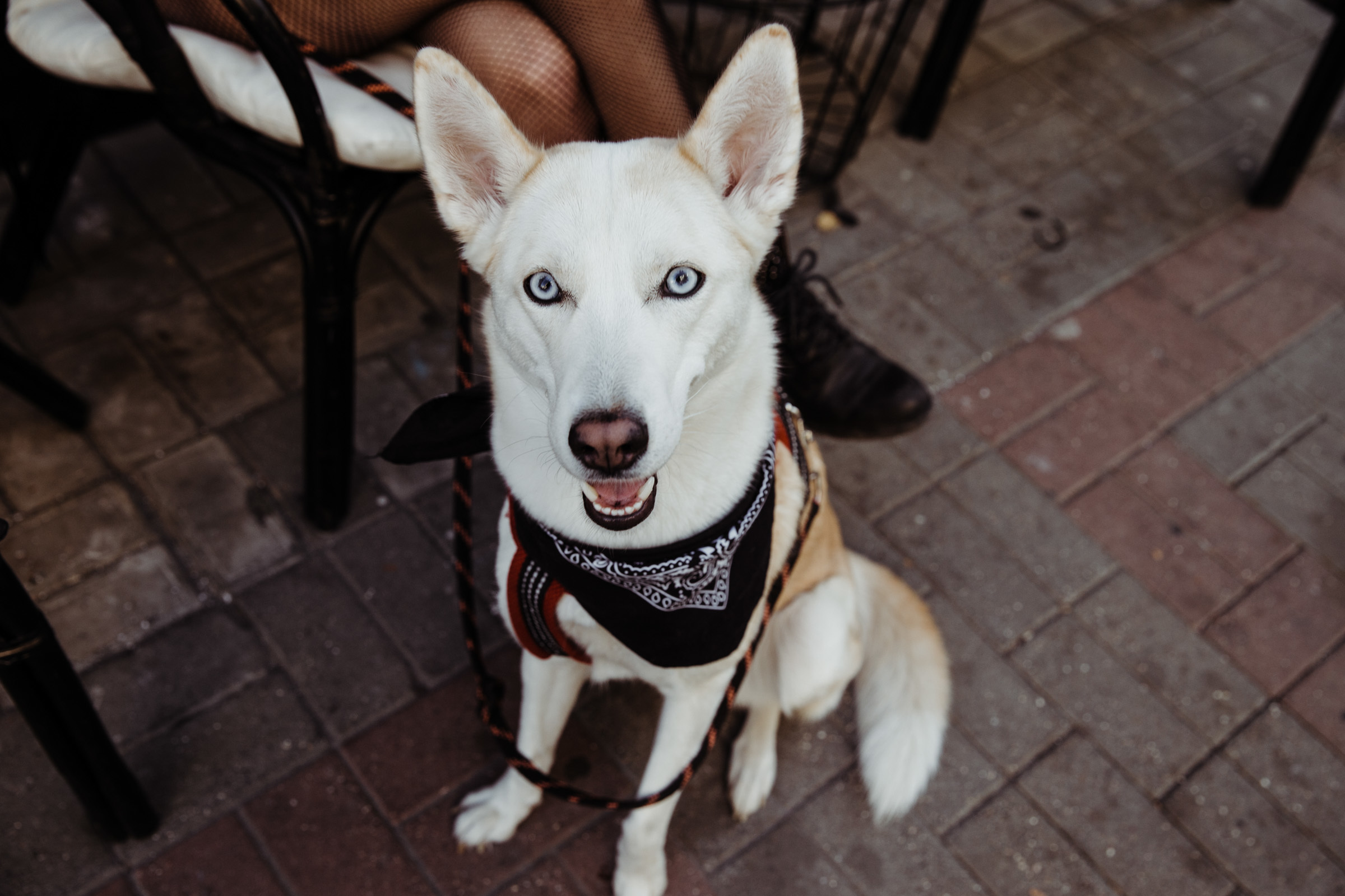 Осенний день / Яна&Ники. Фотограф Алутера Ирина
