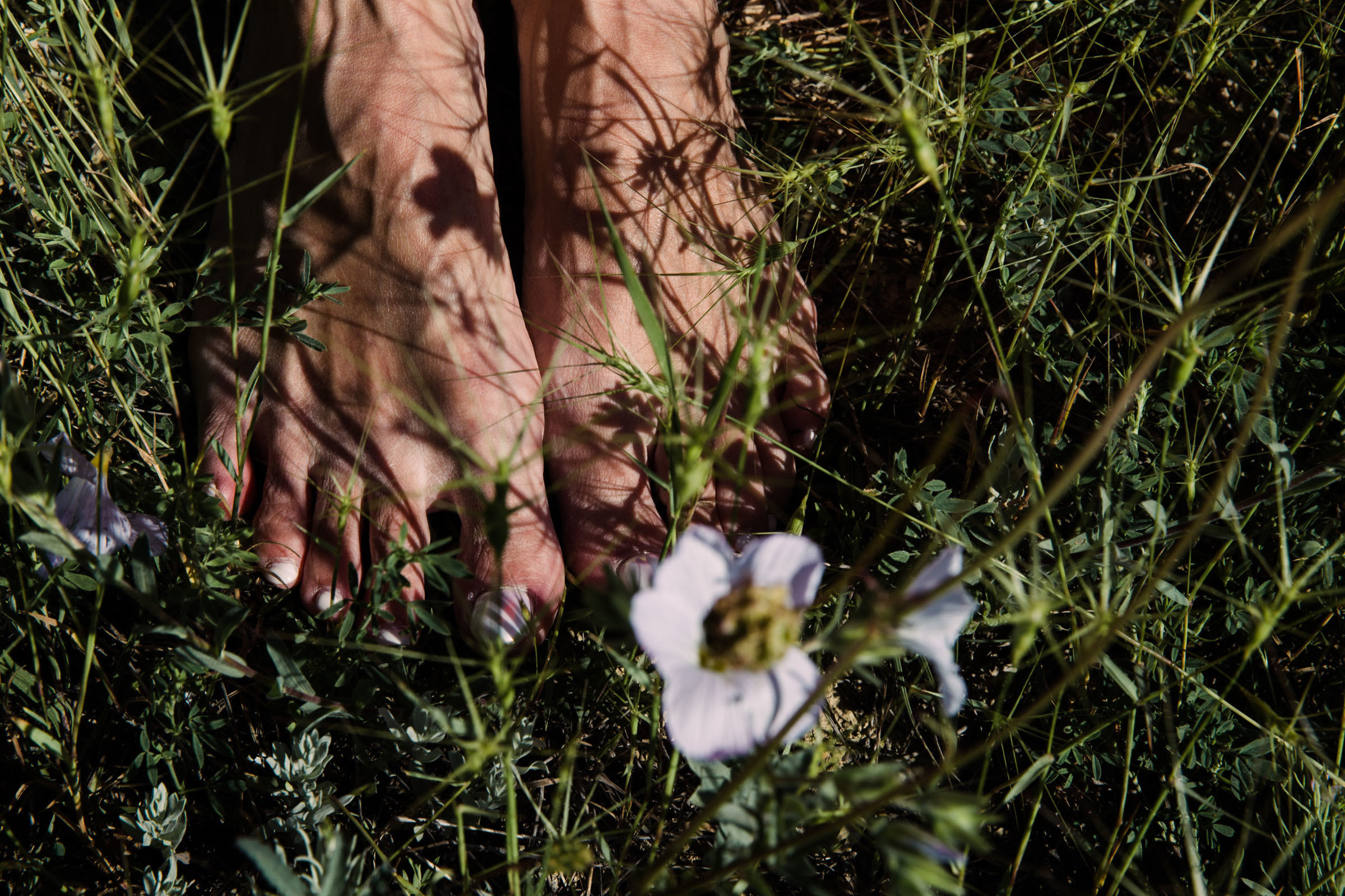 Всё лето в один день // Ксения. Фотограф Алутера Ирина