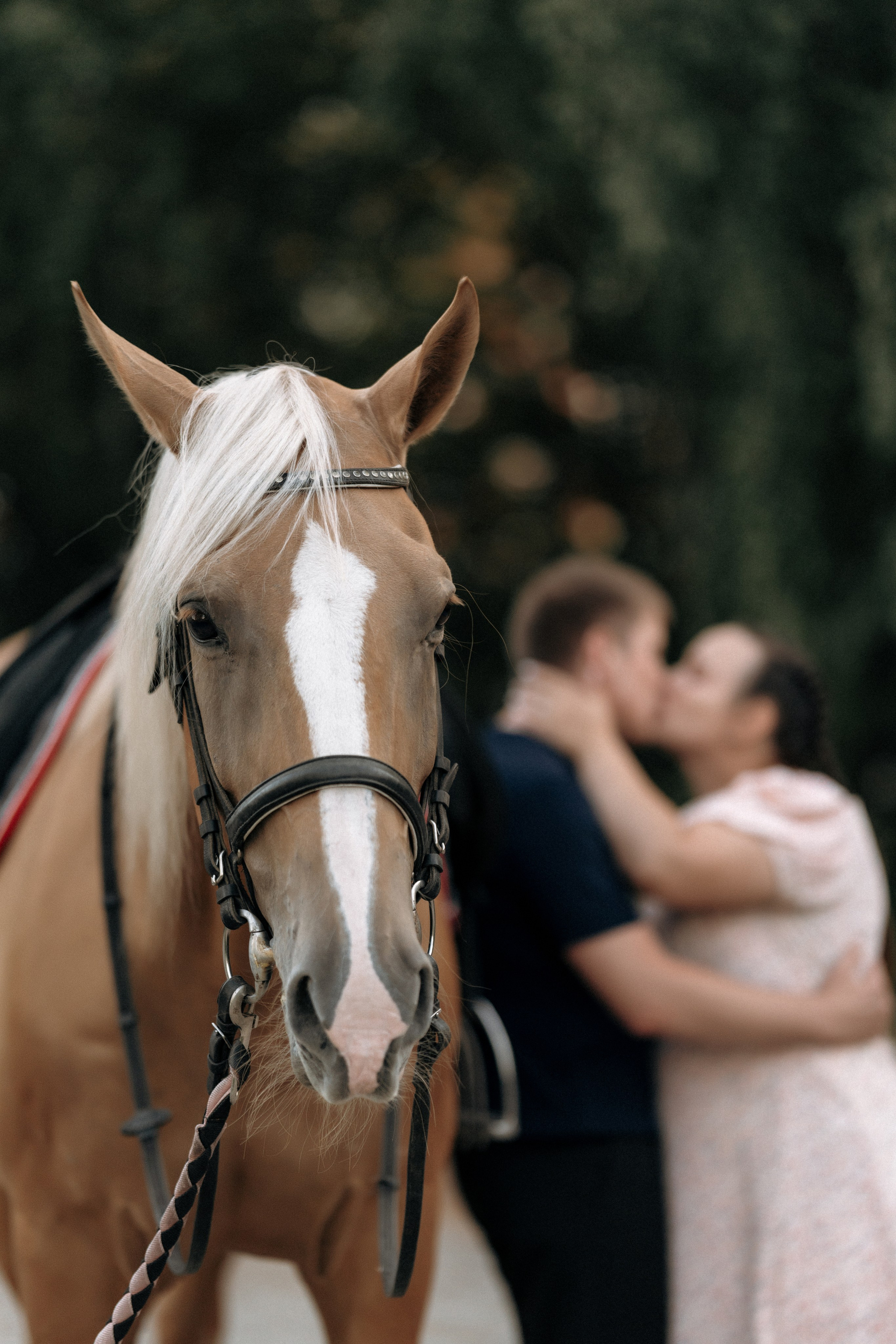 Фотосесиия с лошадью. Семейный и свадебный фотограф в Ульяновске Арина Авдеева