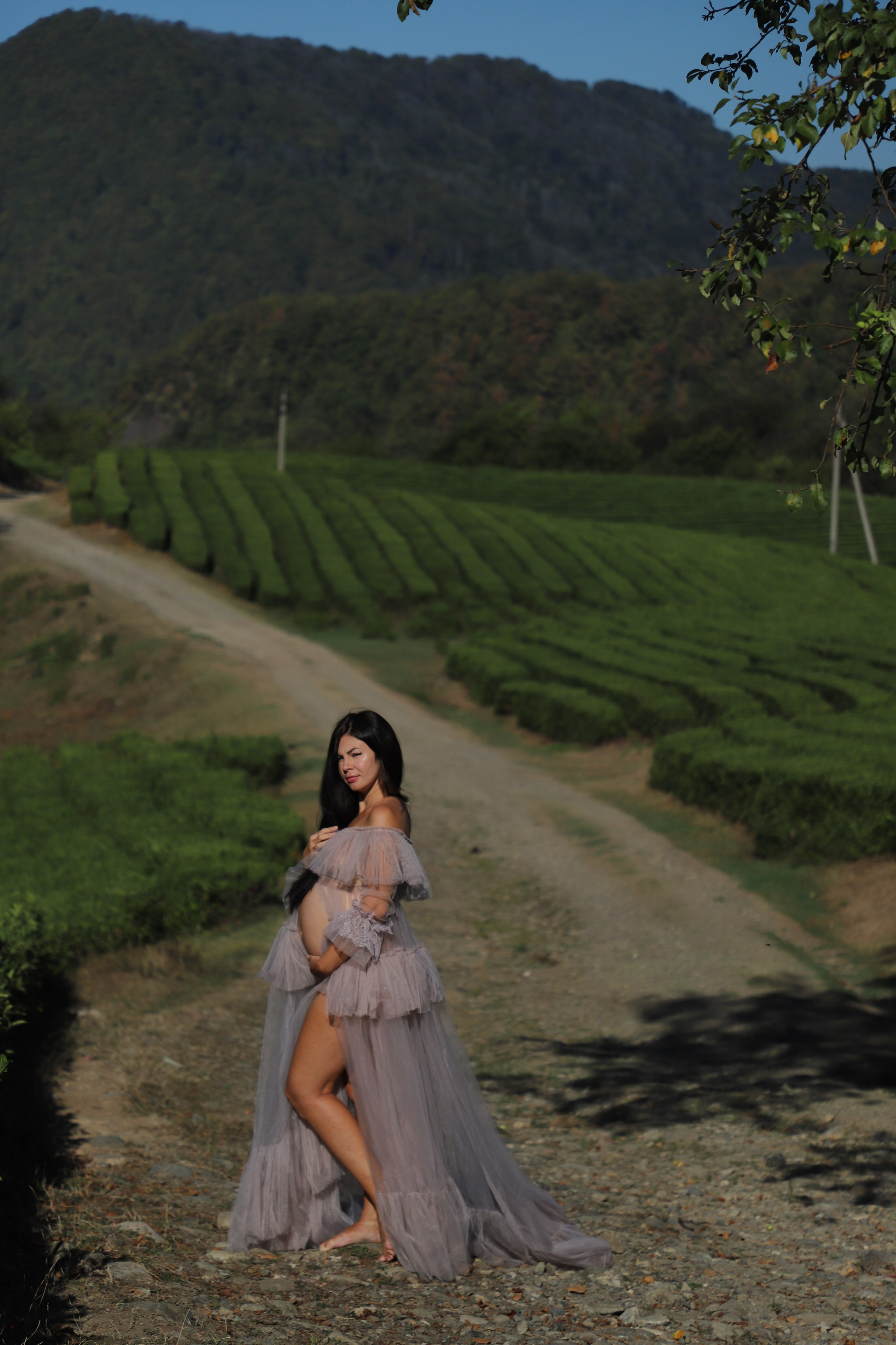 Беремняшка Мацеста чайные плантации 27.08. Главная