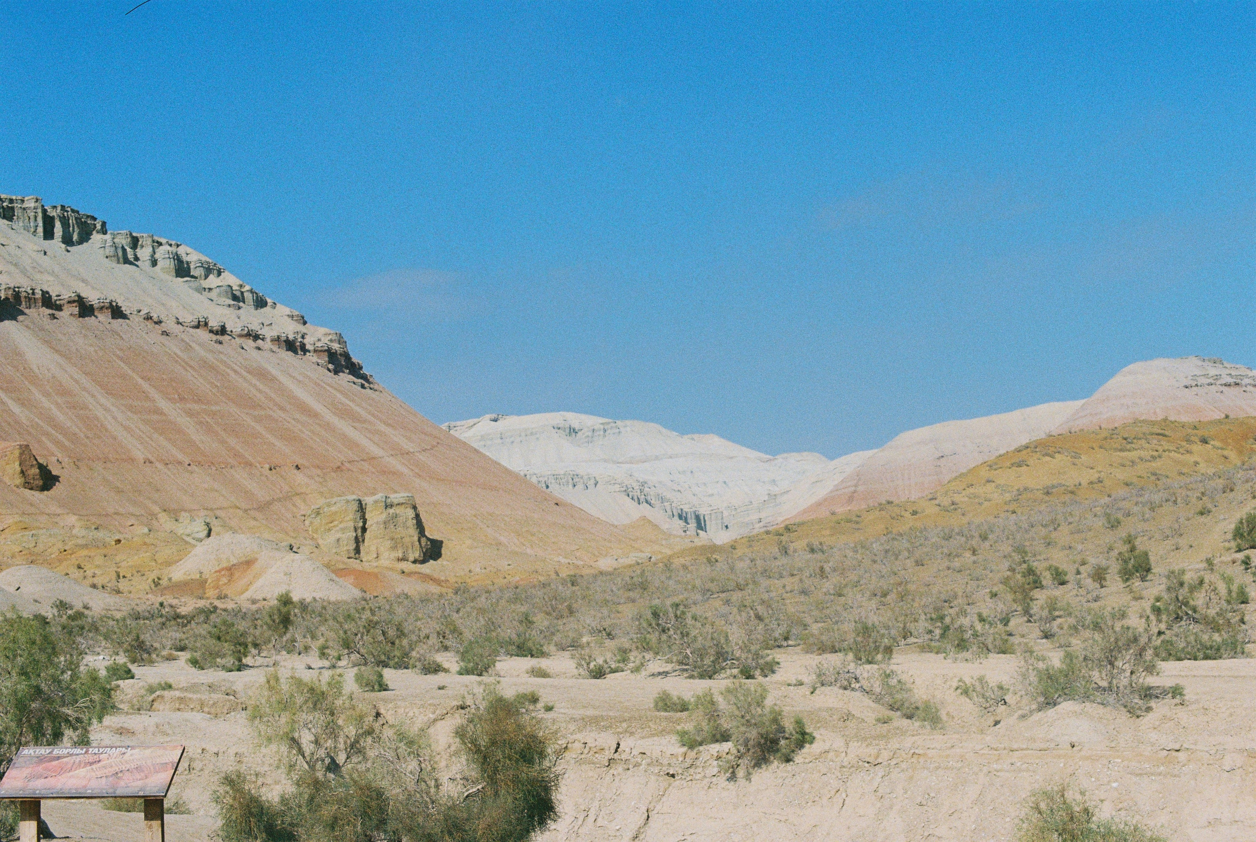 Алтын эмель/Или/Курты, плёнка 2025. Фотограф в Алматы — Алексей Коньков | Репортаж, свадьбы, портреты