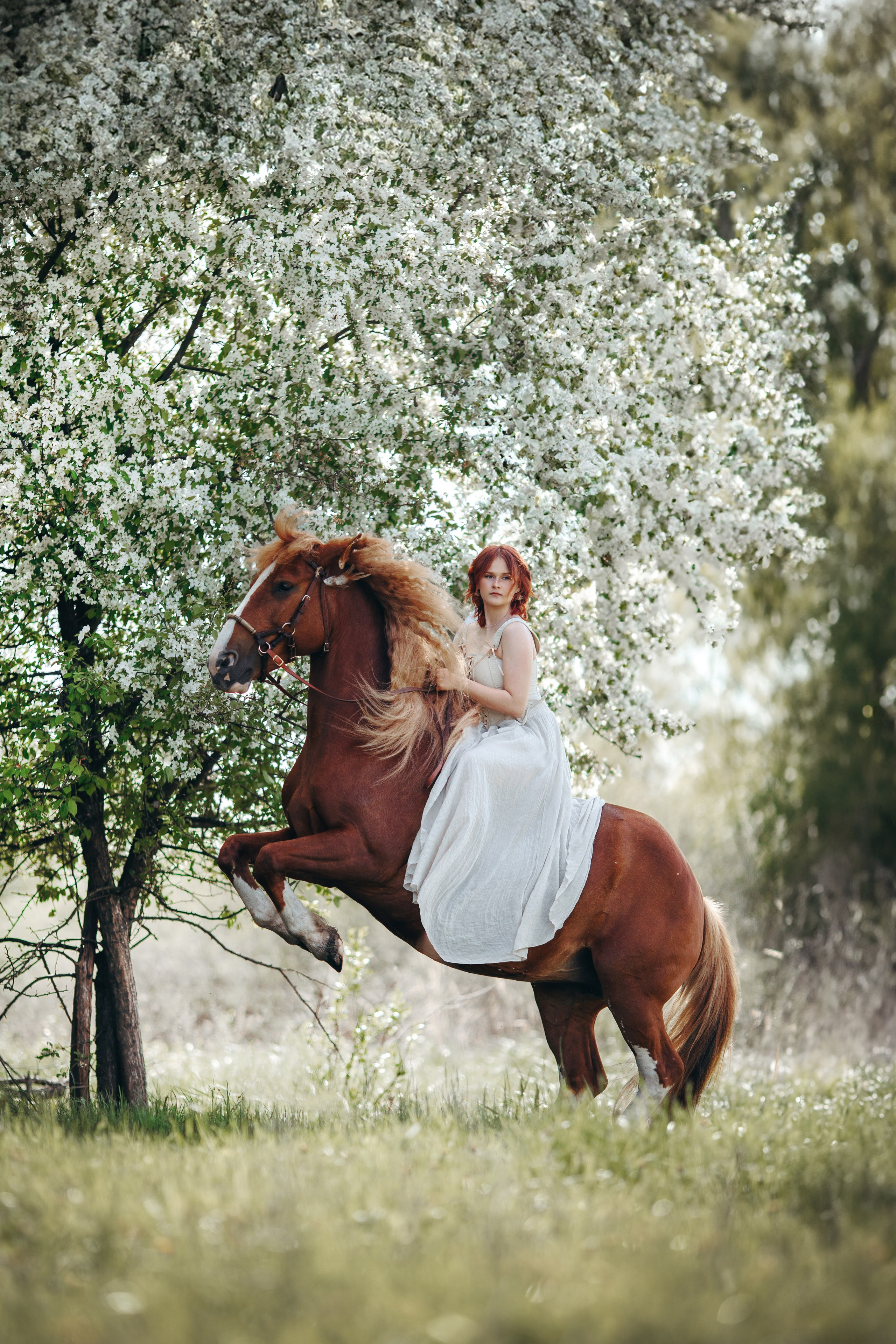 Анна Молчанова конный фотограф в Тюмени | фотосессии с лошадьми Тюмень