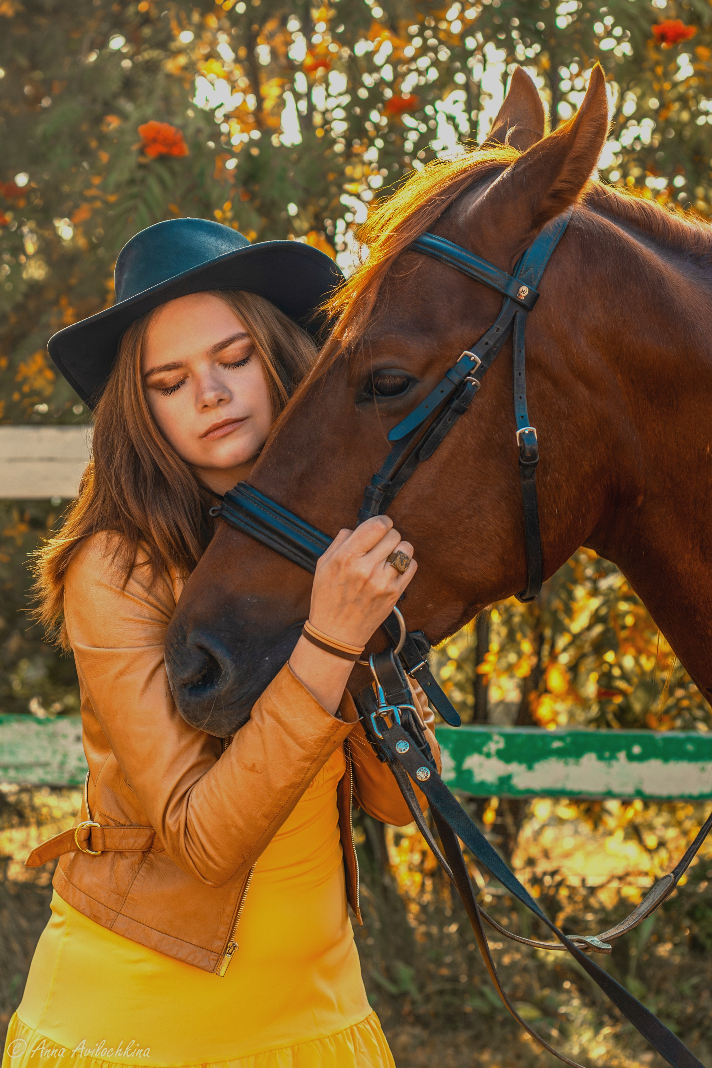 Альбомы стилизованных фотосессий и съёмки с животными. Семейный и свадебный фотограф в Москве и Домодедово Анна Авилочкина