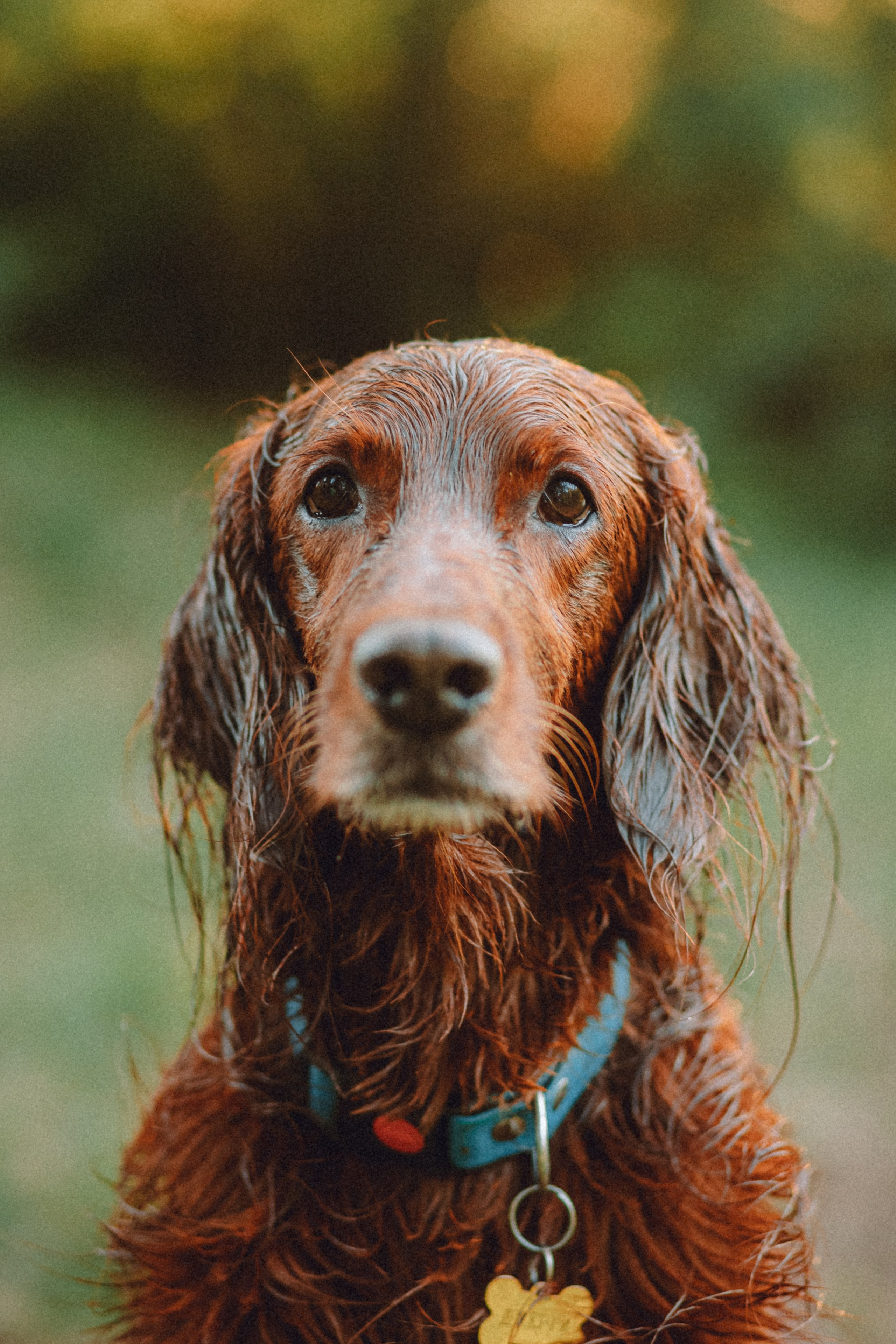 Маша и Джерри