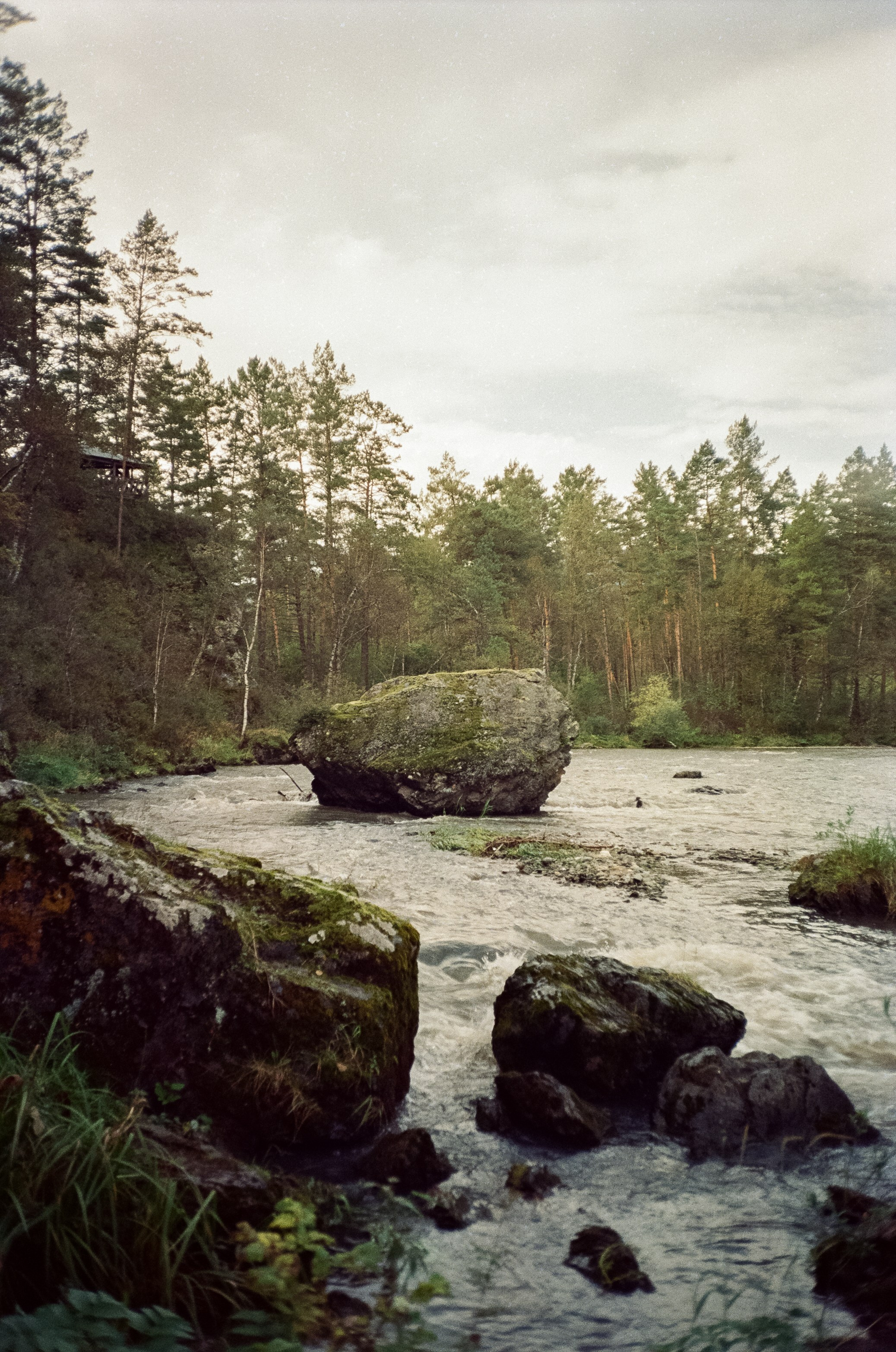 Горно-алтайский ботанический сад