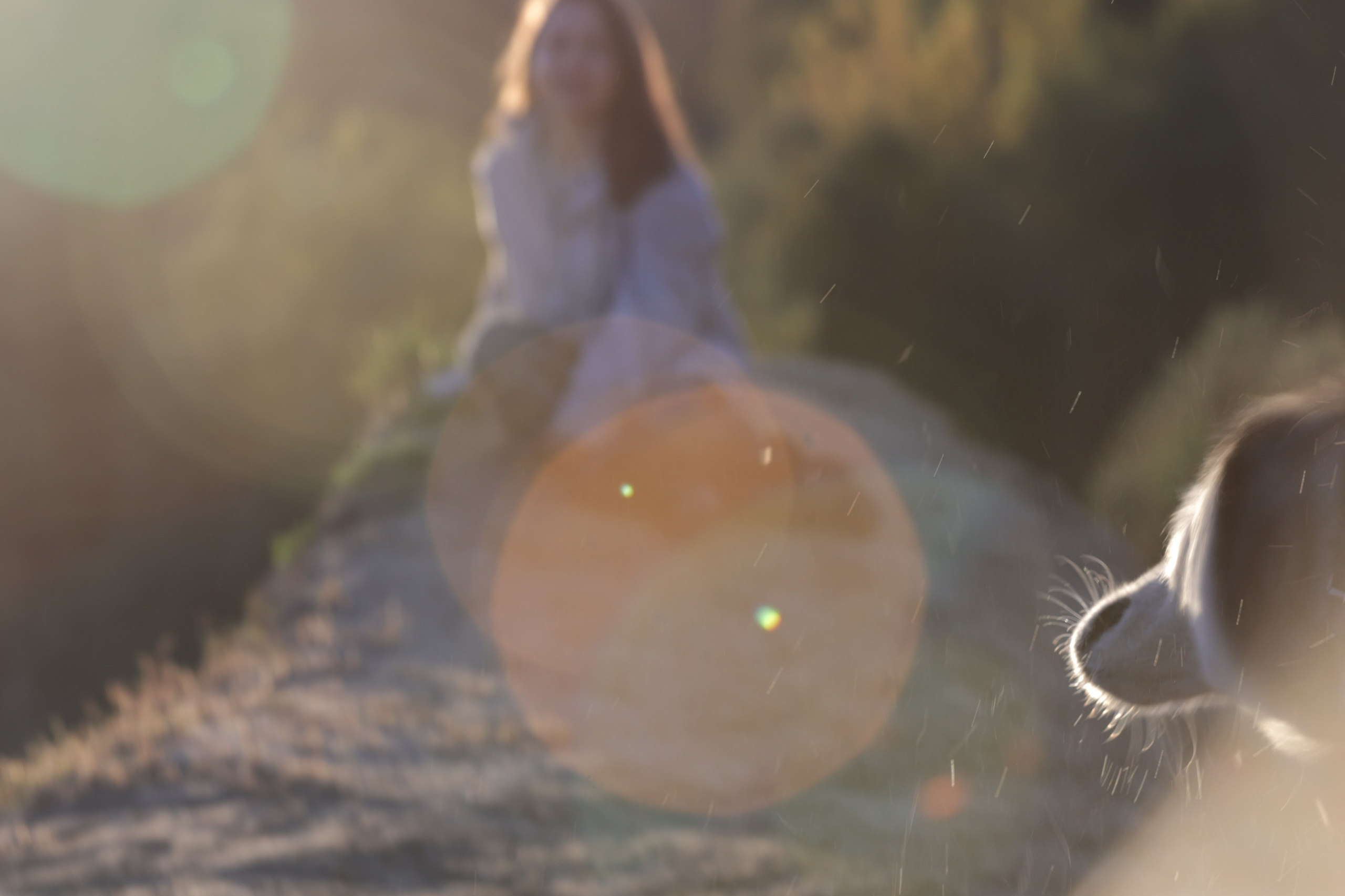 Маугли-тусовка. Фотограф Антонина Гудкова