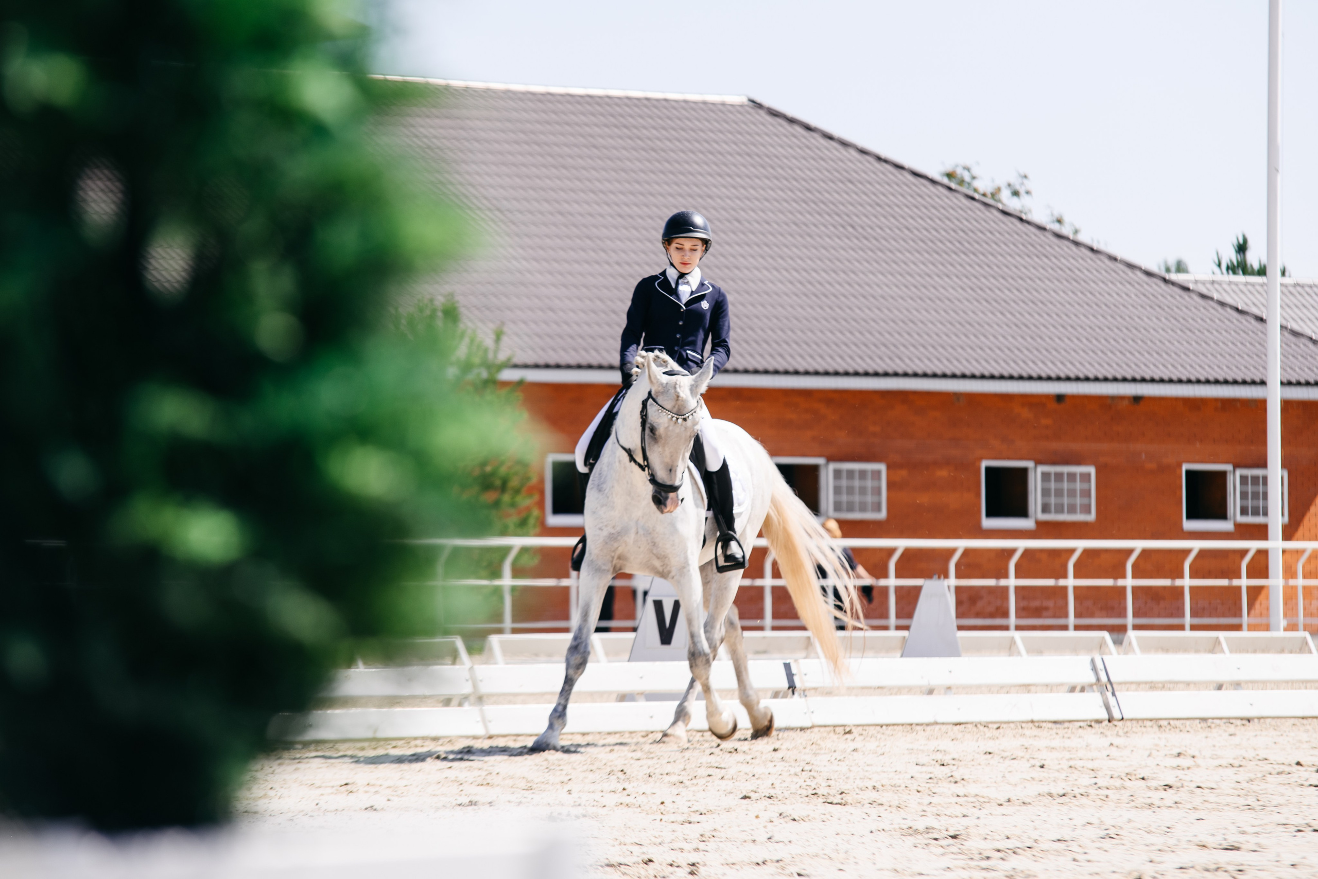 Соревнования