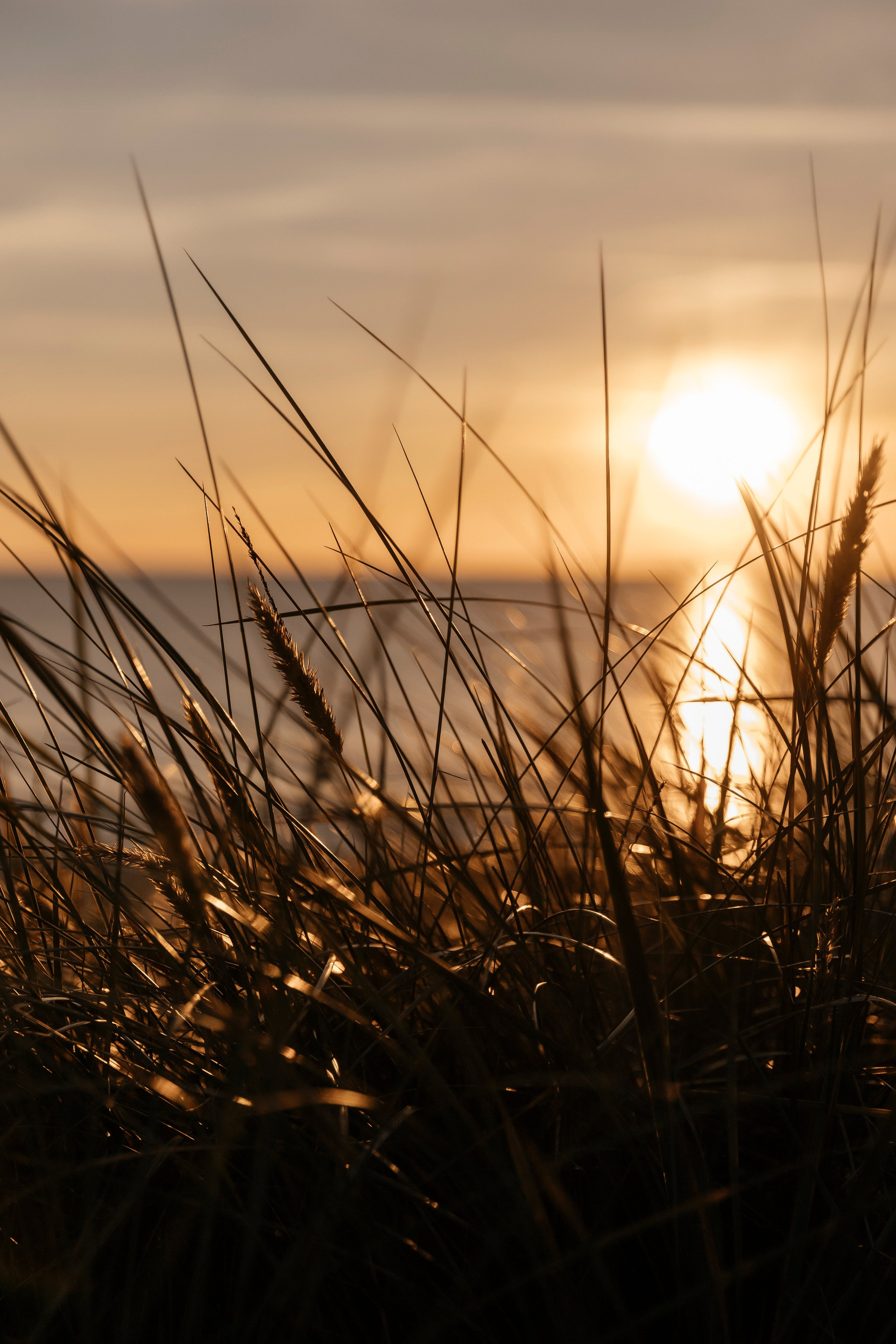 Девичник. Свадебный и портретный фотограф в Калининграде Наталия Еник