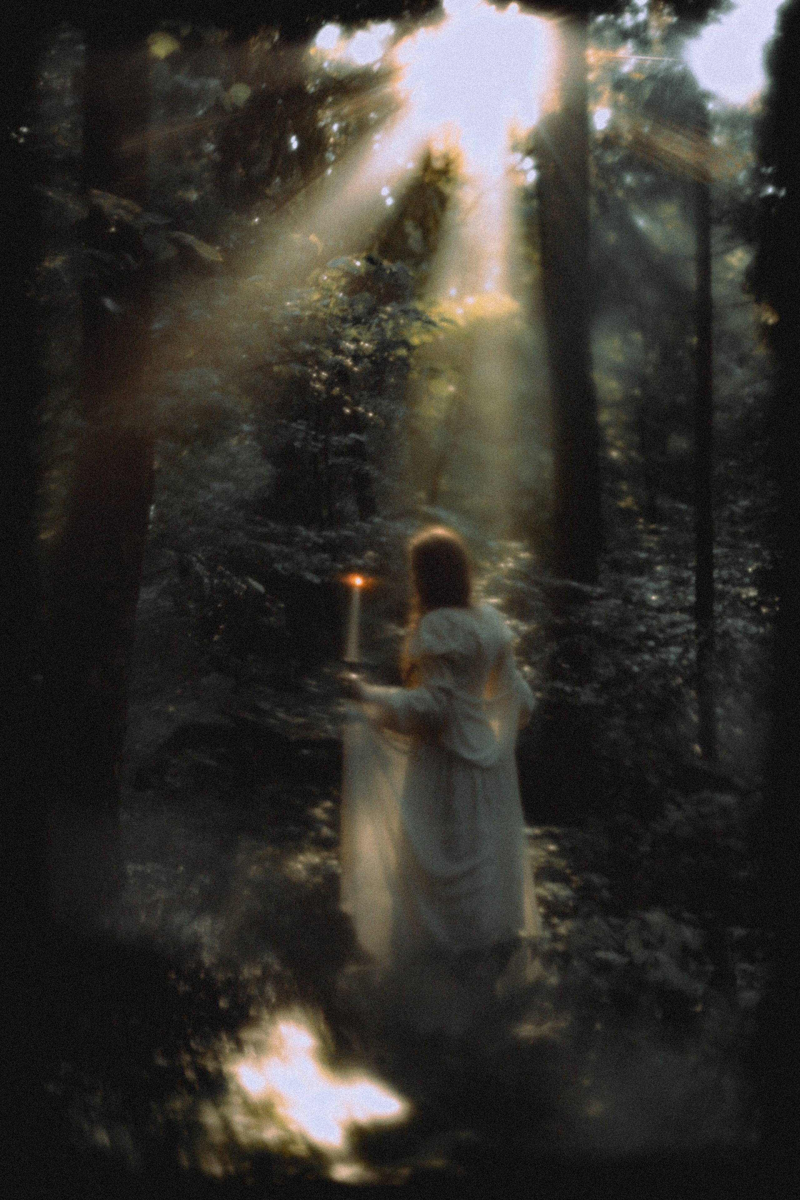 Северская. Ель Татьяна Григ ~ винтажный фотограф ~ Москва