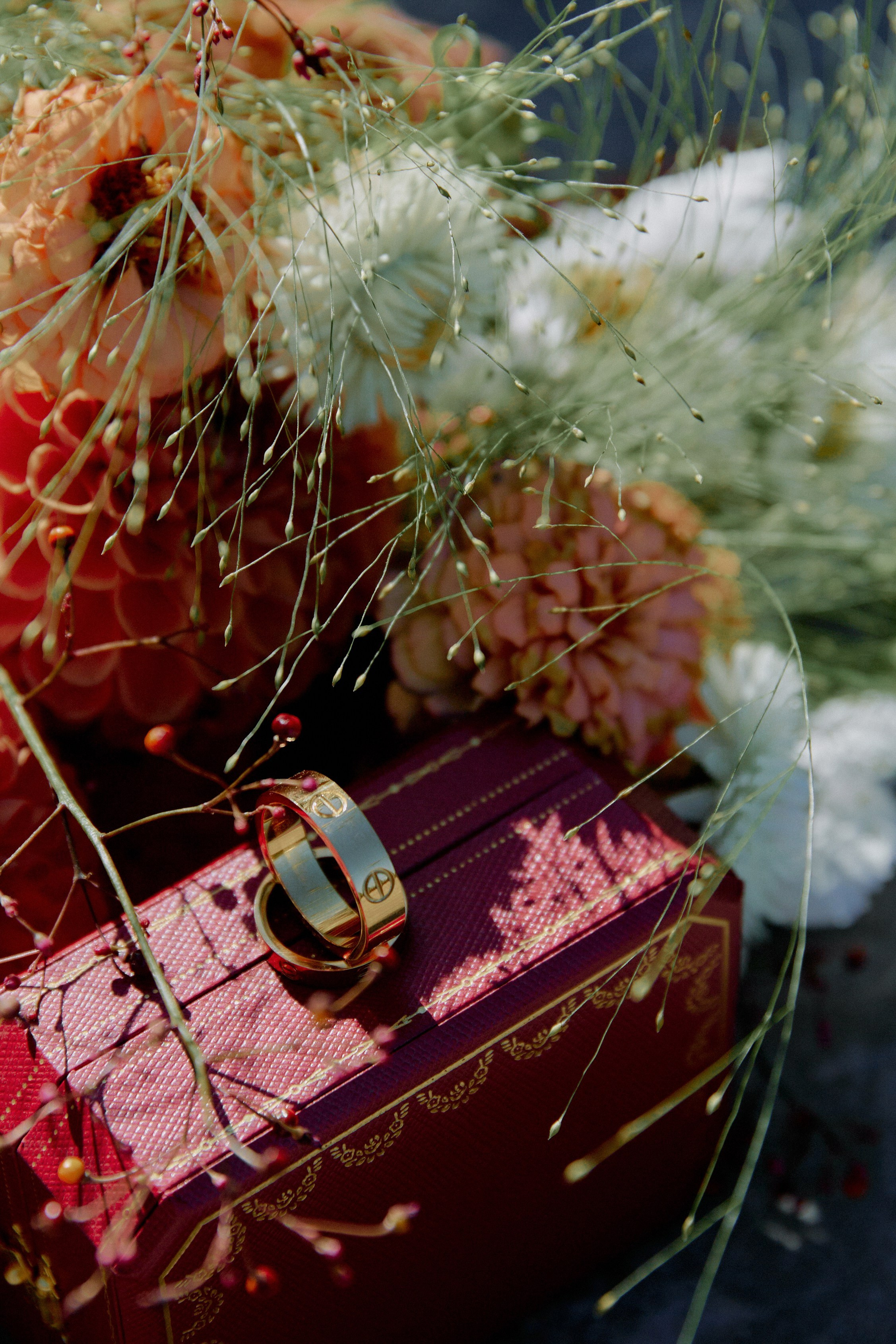 ПЕ-ПЕ-ПЕ. Фотограф Елена Краснопевцева