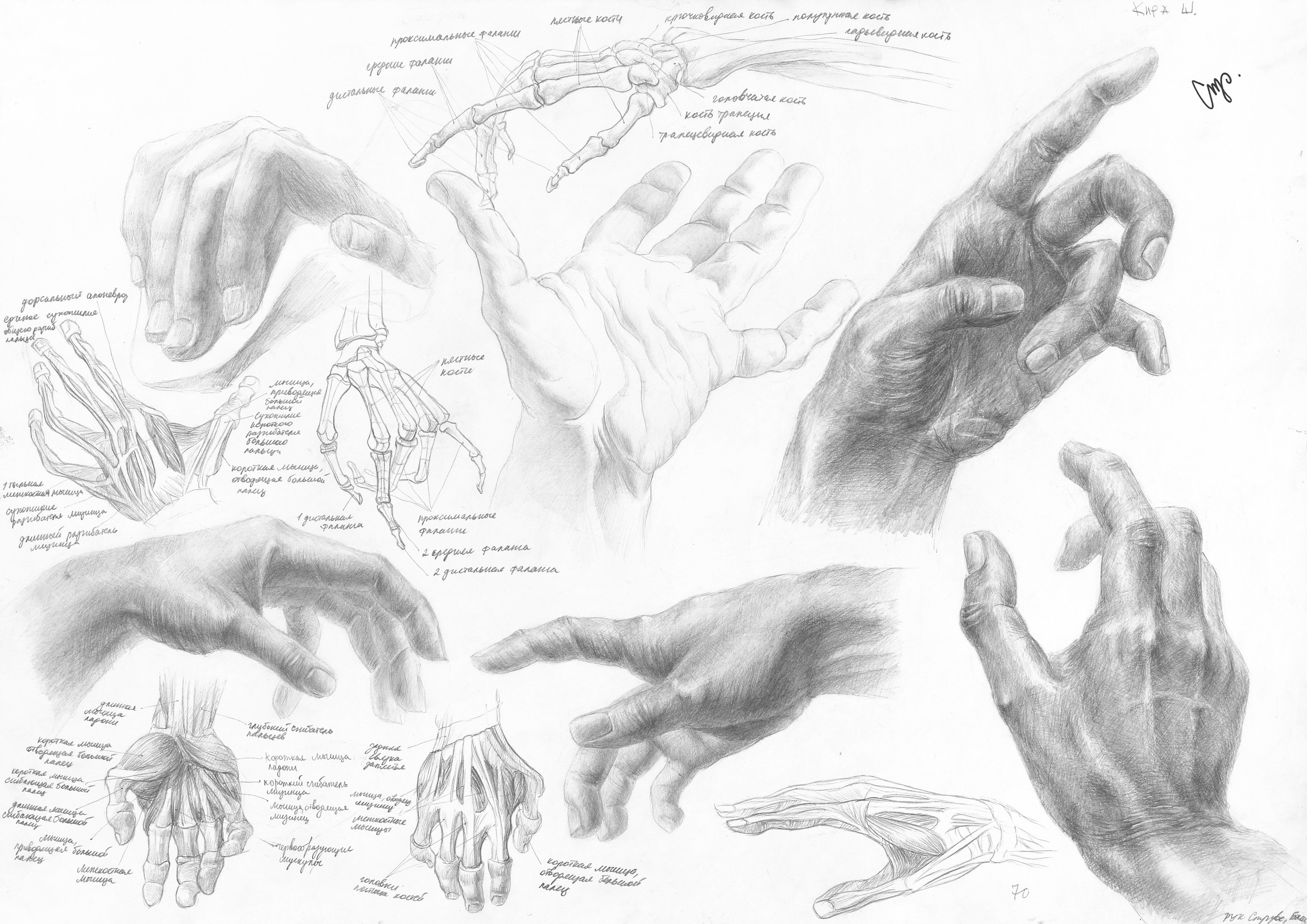 Работы студентов. Главная