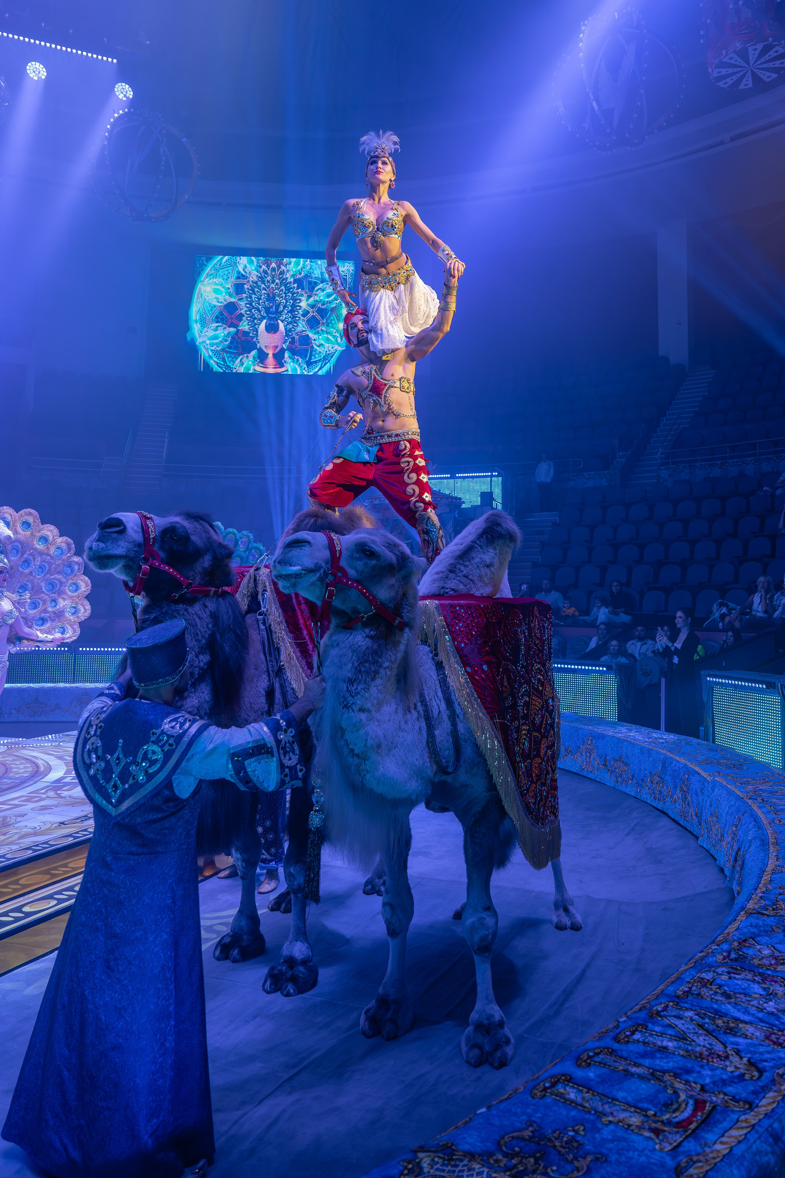 Цирк Гии Эрадзе. Наталья Слесаренко фотограф в Сочи