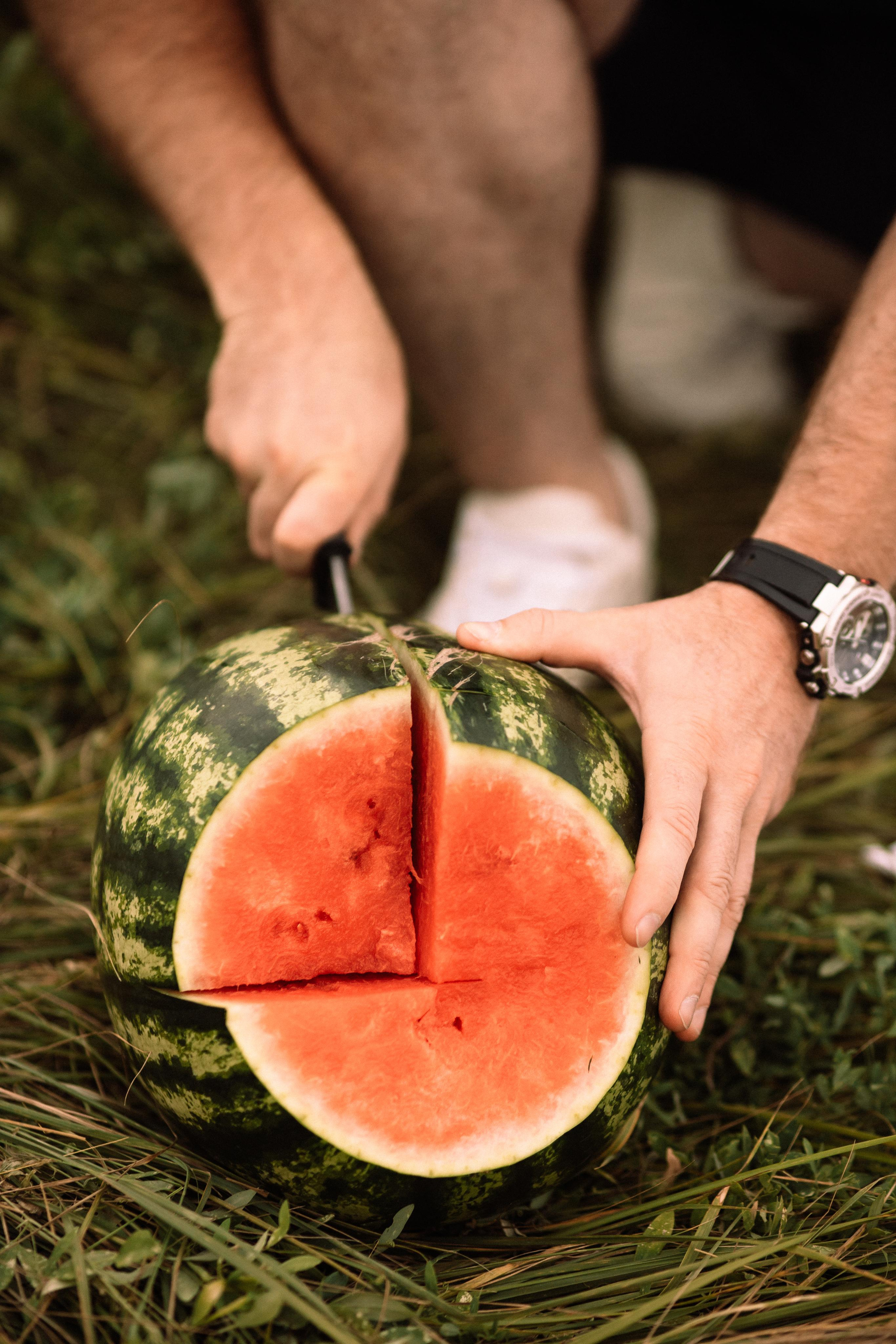 Арбузный пикник. Свадебный и семейный фотограф в Белгороде Юлия Першина