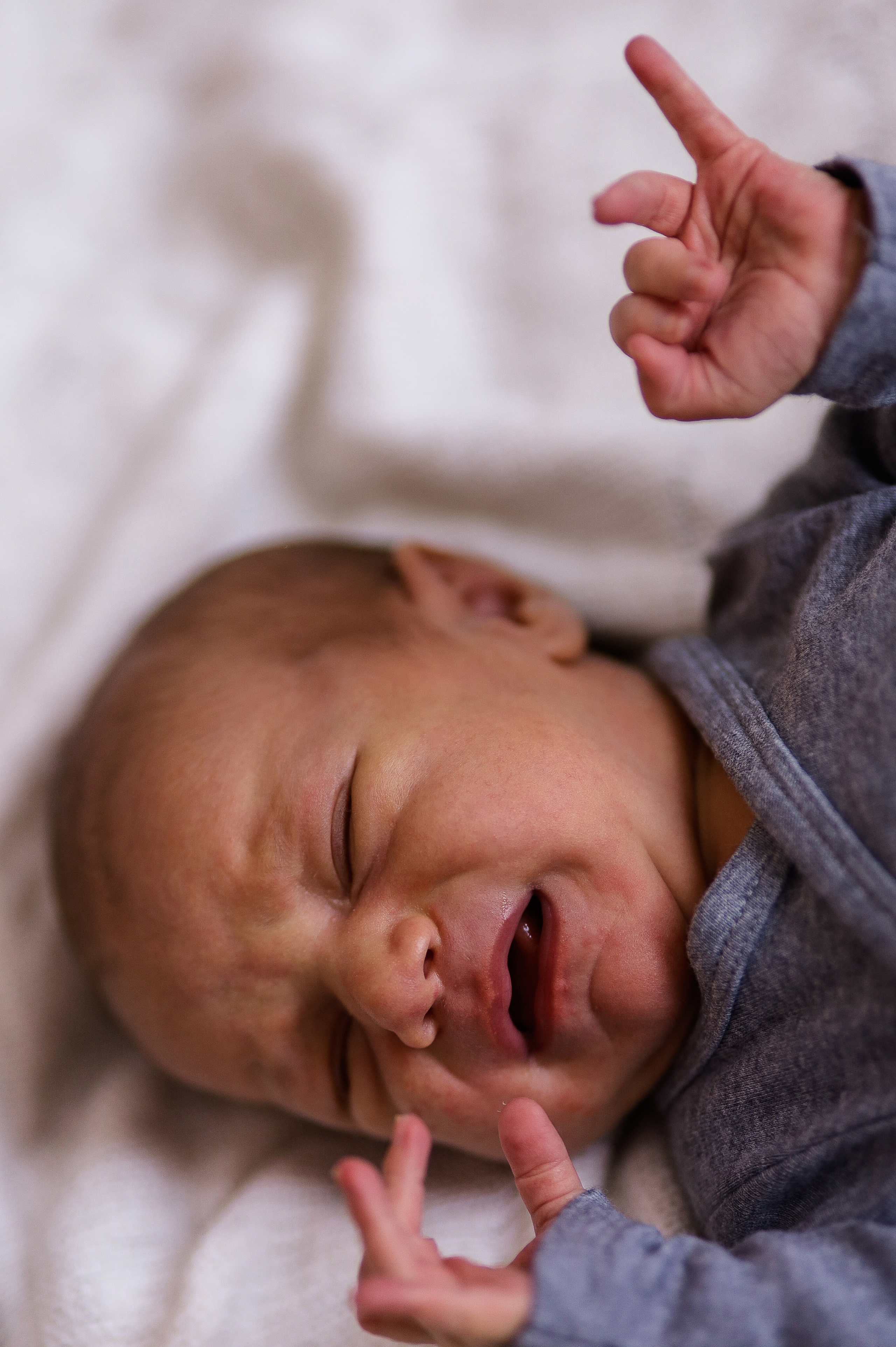 Семья Андрюши. Свадебный и семейный фотограф в Белгороде Юлия Першина