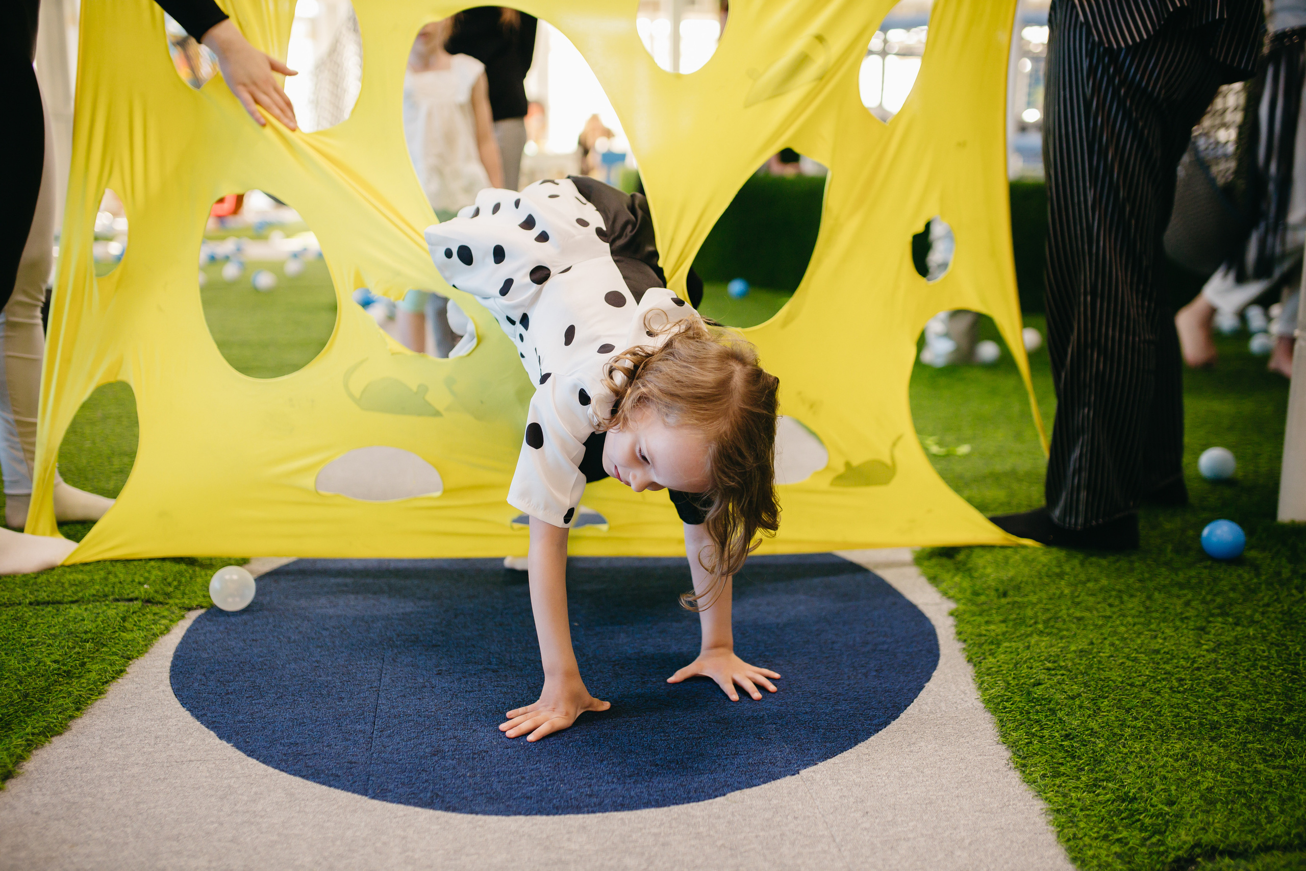 Еве 5 Сканди-парк. Свадебный и семейный фотограф в Белгороде Юлия Першина