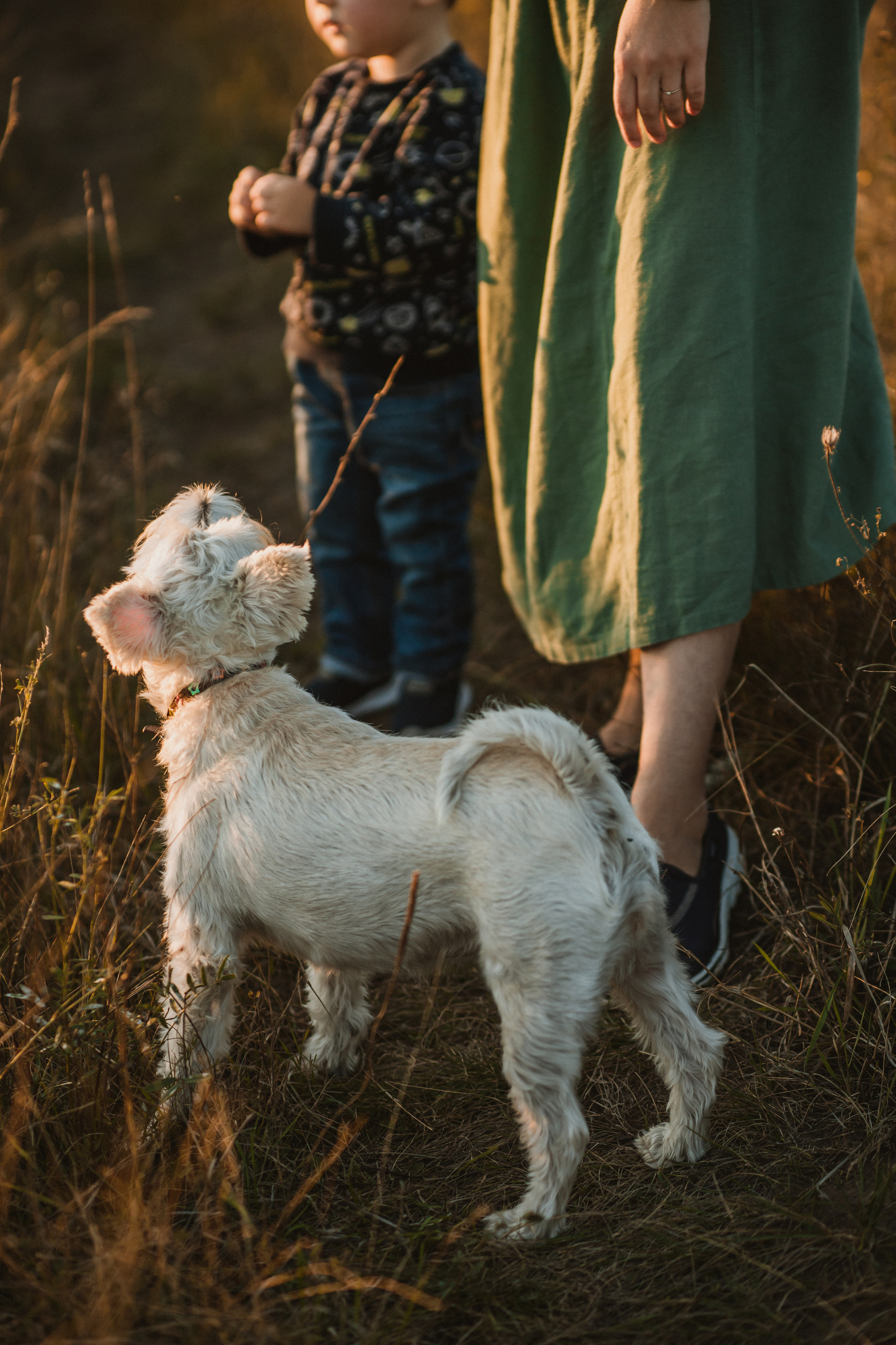 Алена, Иосиф, Лариса. Свадебный и семейный фотограф в Белгороде Юлия Першина