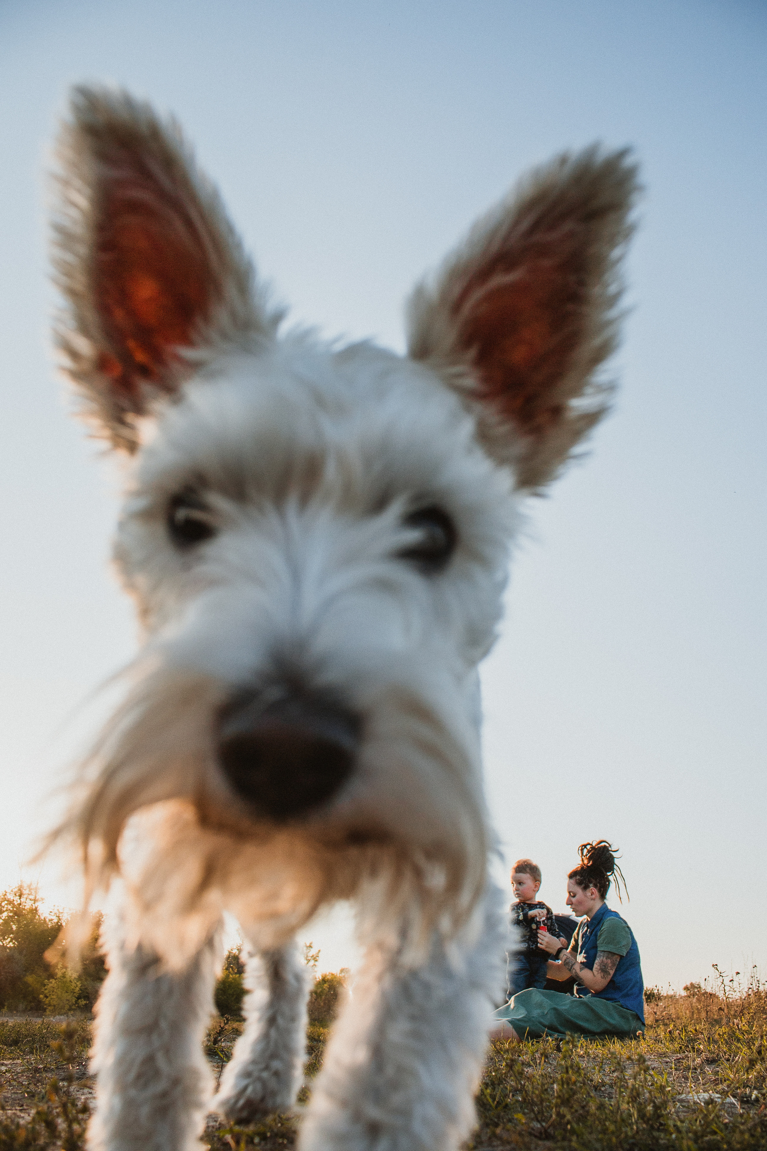 Алена, Иосиф, Лариса. Свадебный и семейный фотограф в Белгороде Юлия Першина