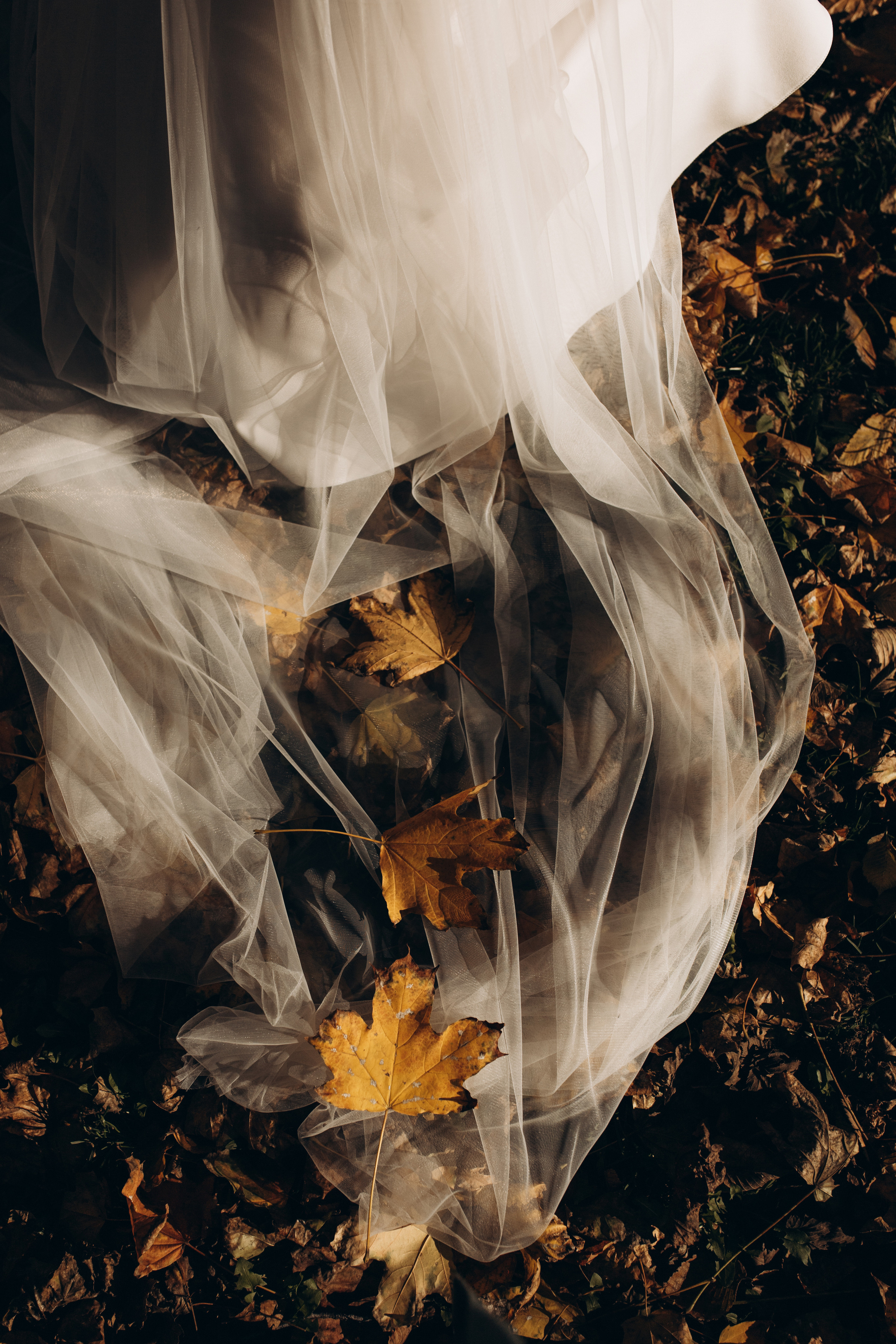 Сладкий Октябрь. Свадебный и семейный фотограф в Белгороде Юлия Першина