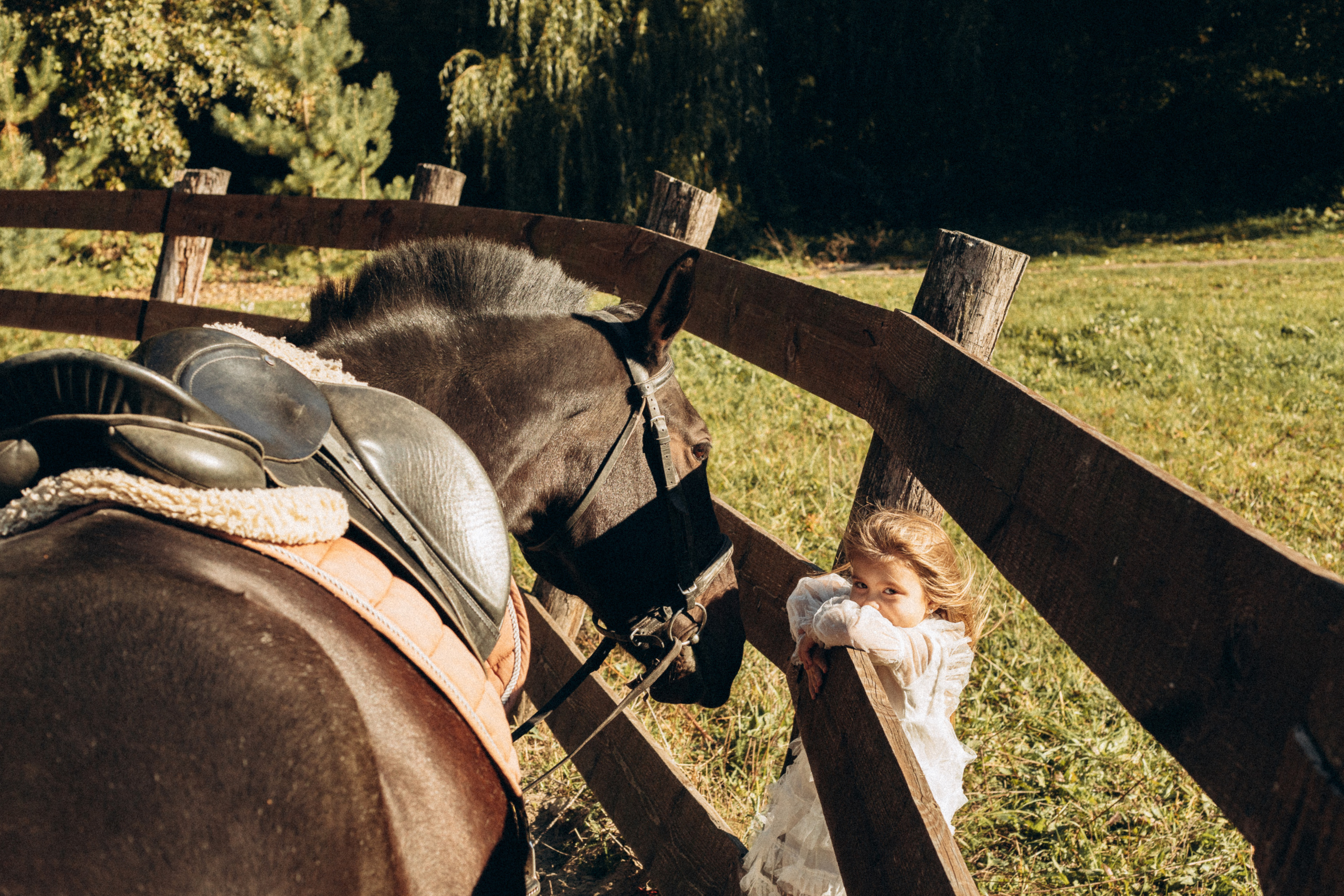 Саша Оля Варя. Свадебный и семейный фотограф в Белгороде Юлия Першина