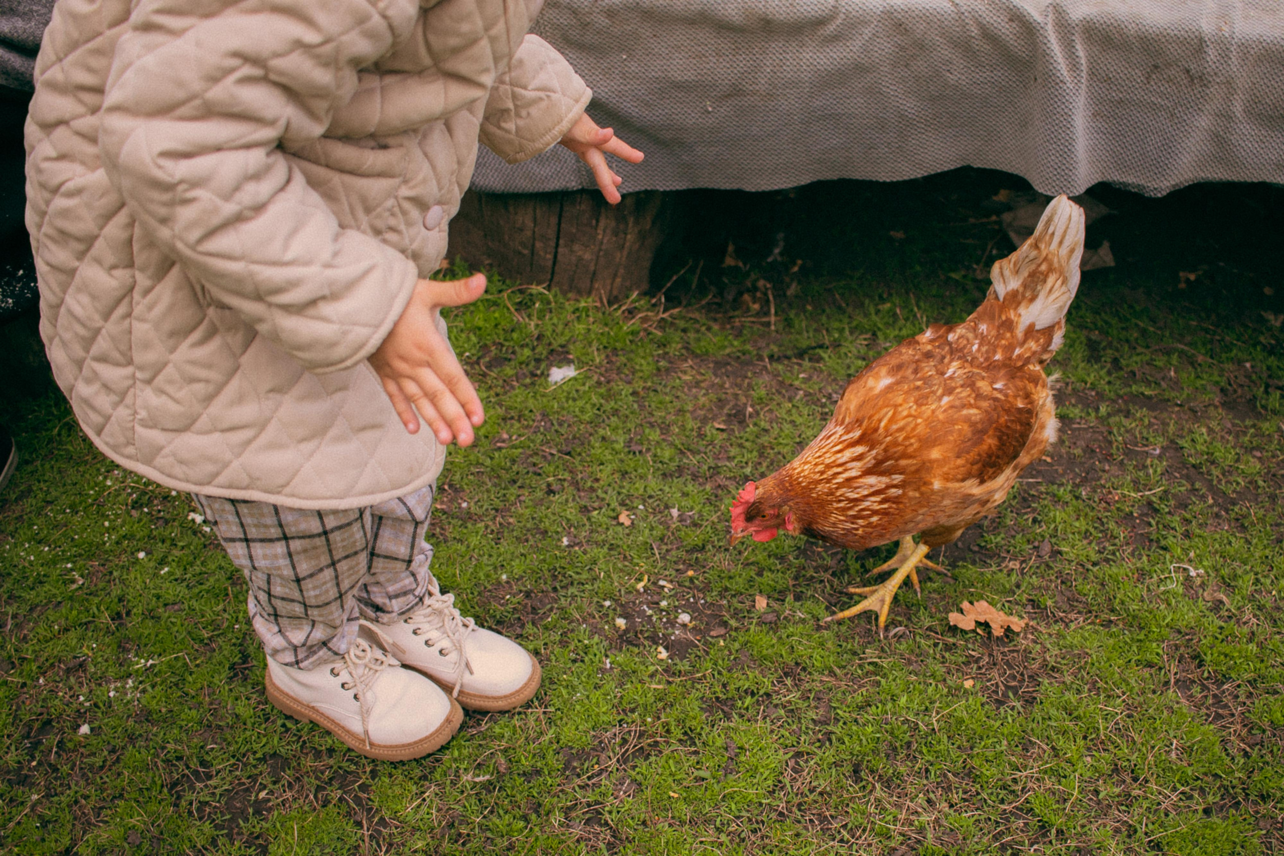 В гостях у бабушки. Свадебный и семейный фотограф в Белгороде Юлия Першина