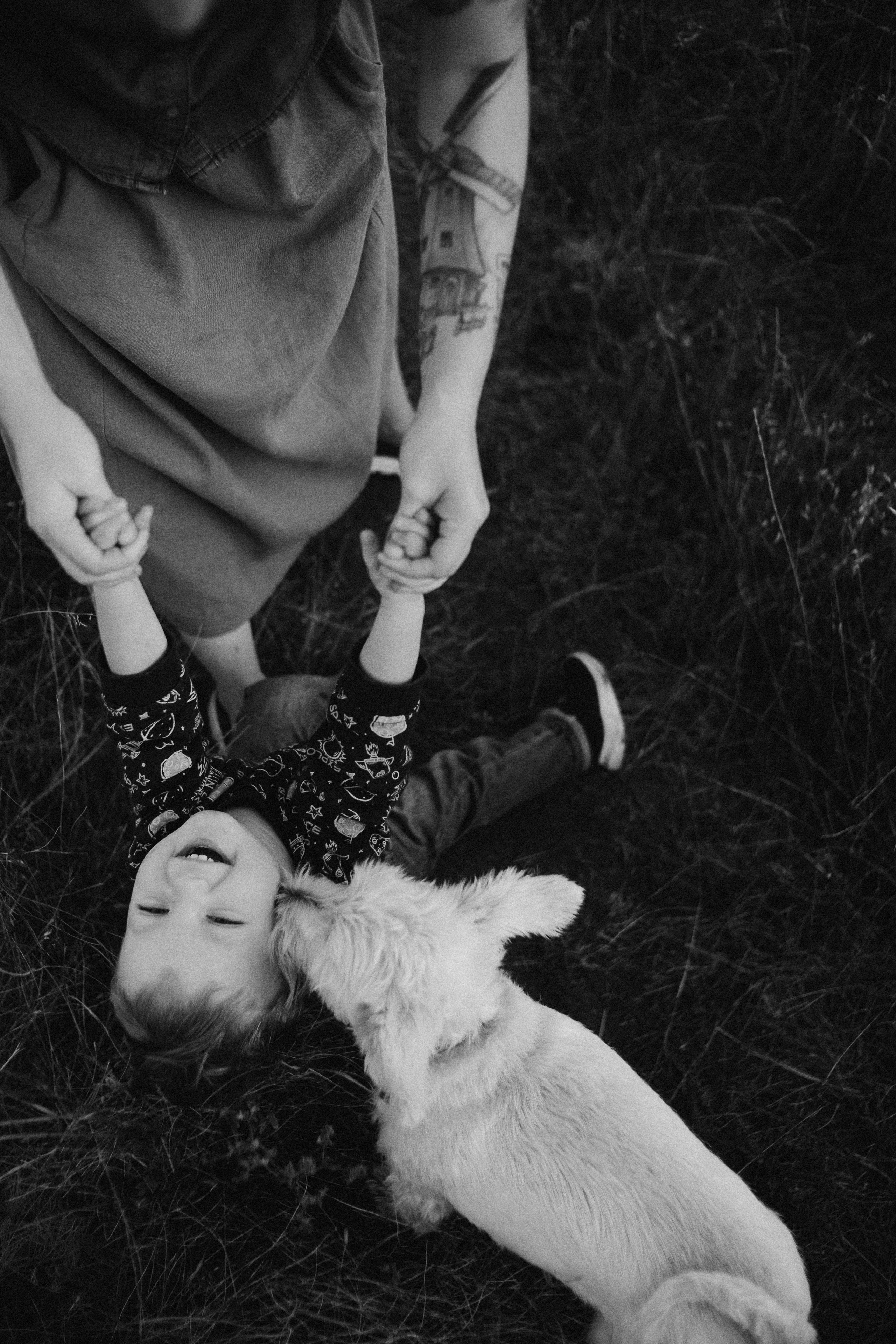 Алена, Иосиф, Лариса. Свадебный и семейный фотограф в Белгороде Юлия Першина