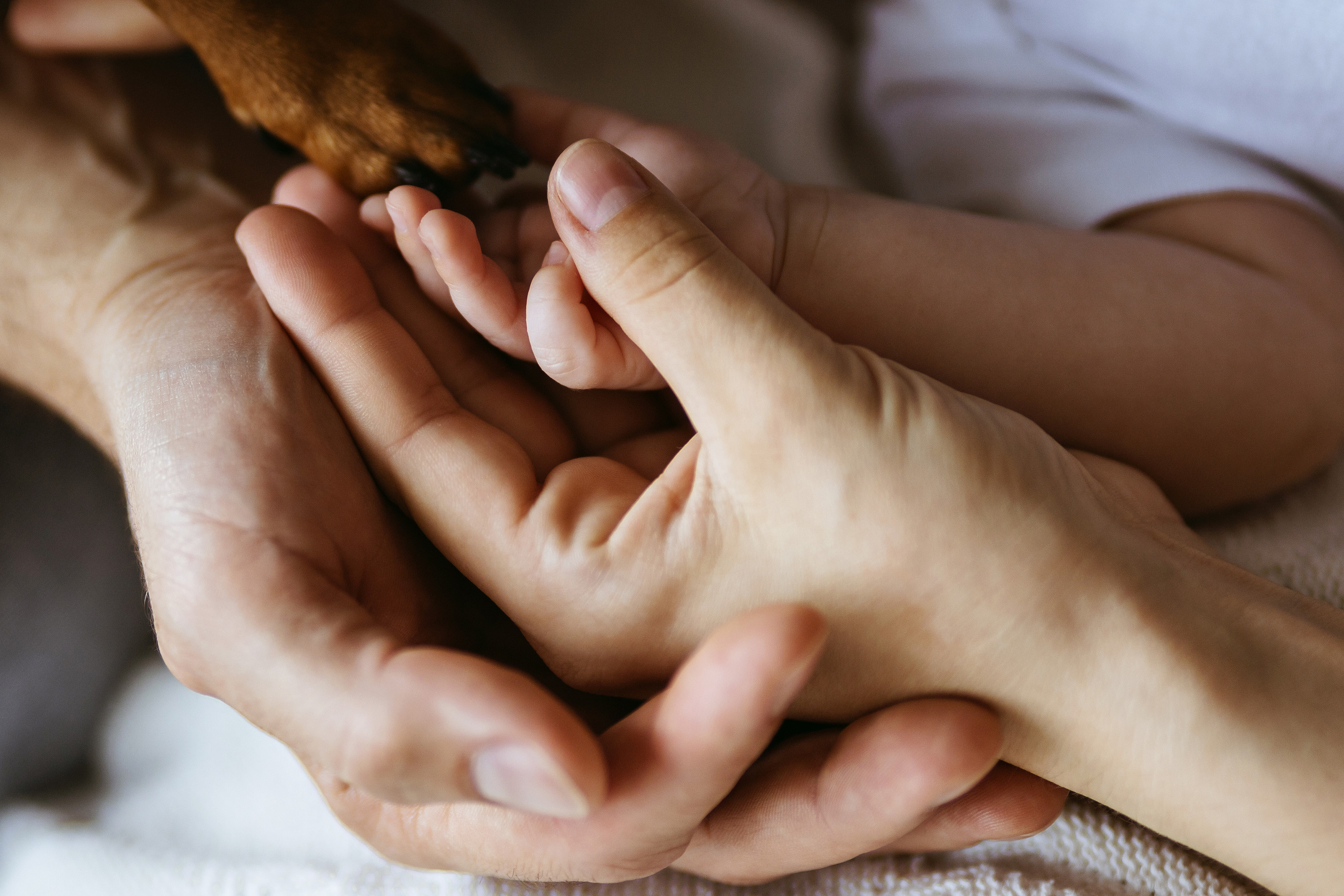 Счастье в доме. Свадебный и семейный фотограф в Белгороде Юлия Першина