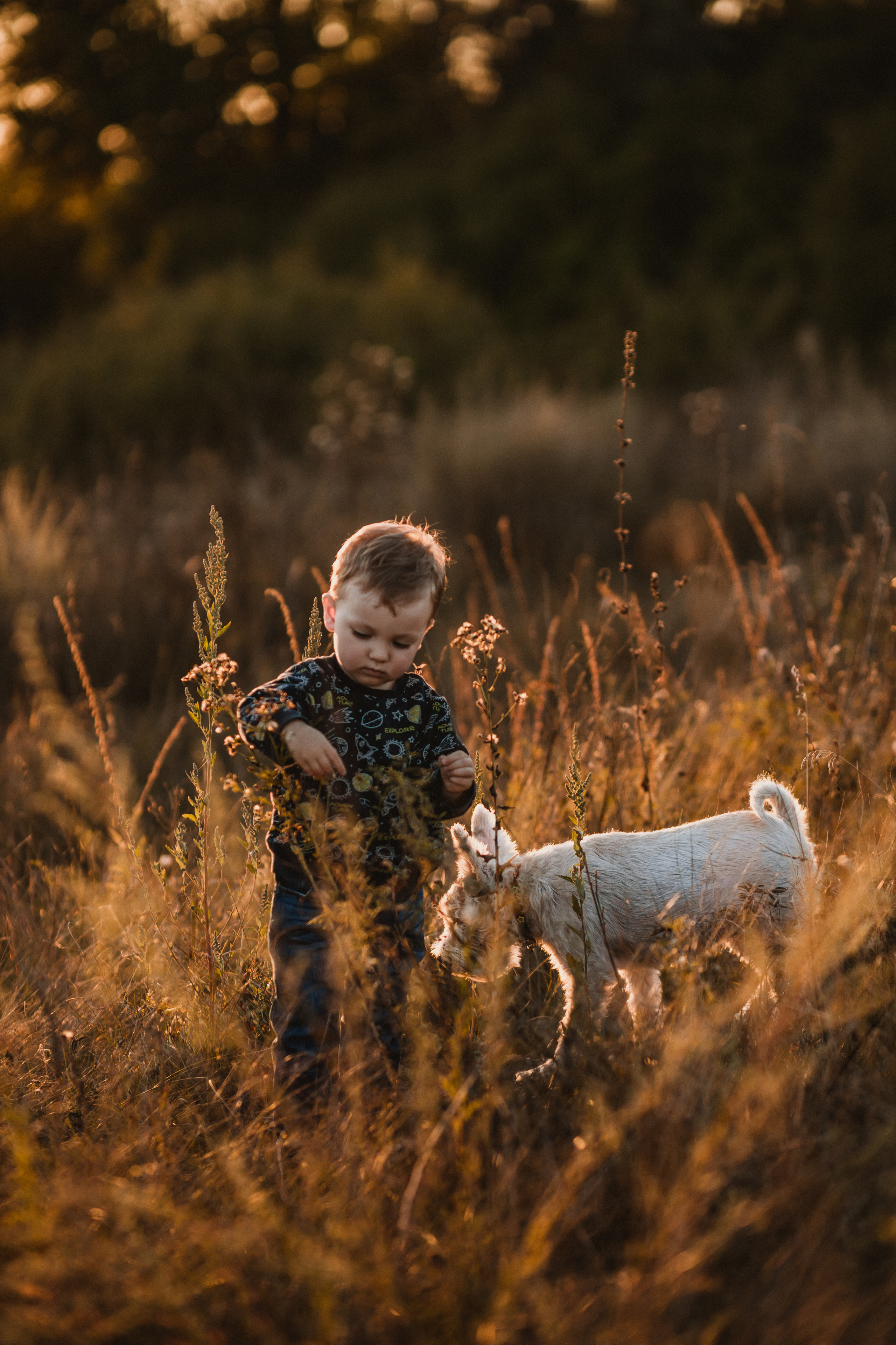 Алена, Иосиф, Лариса. Свадебный и семейный фотограф в Белгороде Юлия Першина