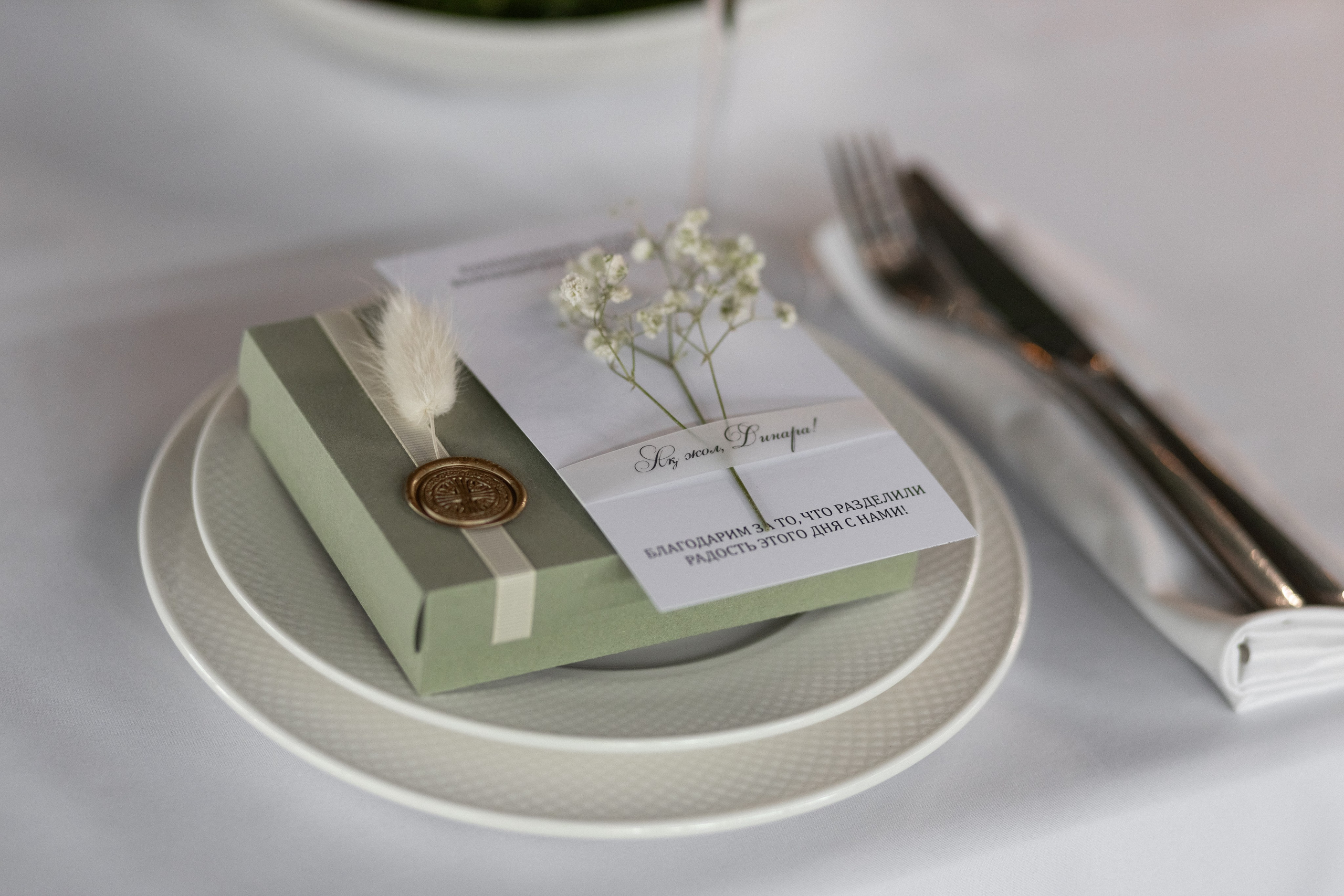 Wedding. Фотограф Астана. Индивидуальные, парные и семейные фотосессии